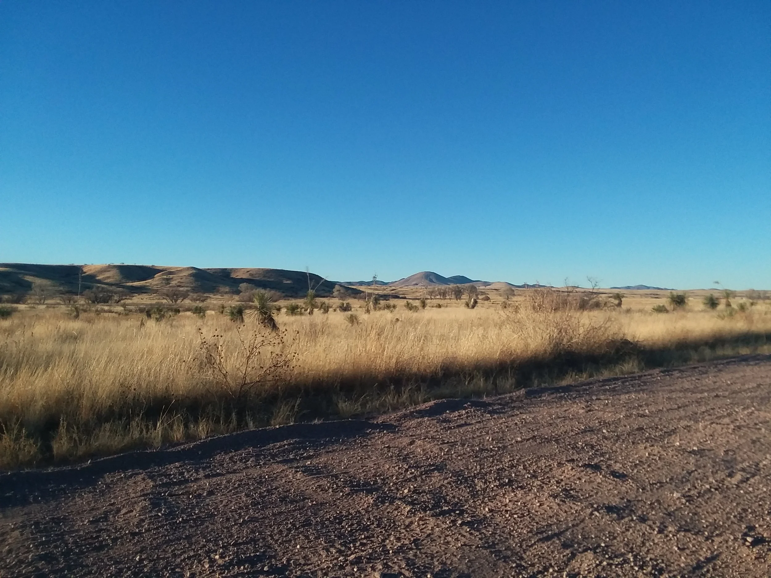 20180112_164554.jpg