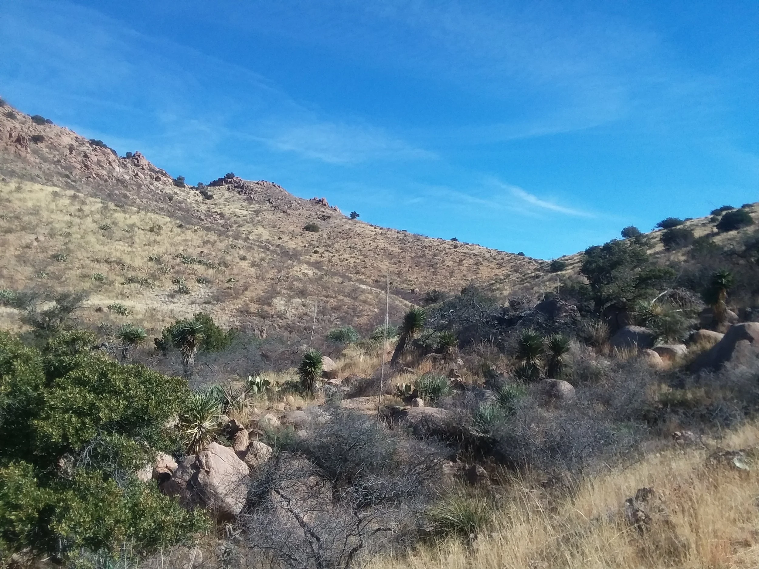 20180114_103343.jpg