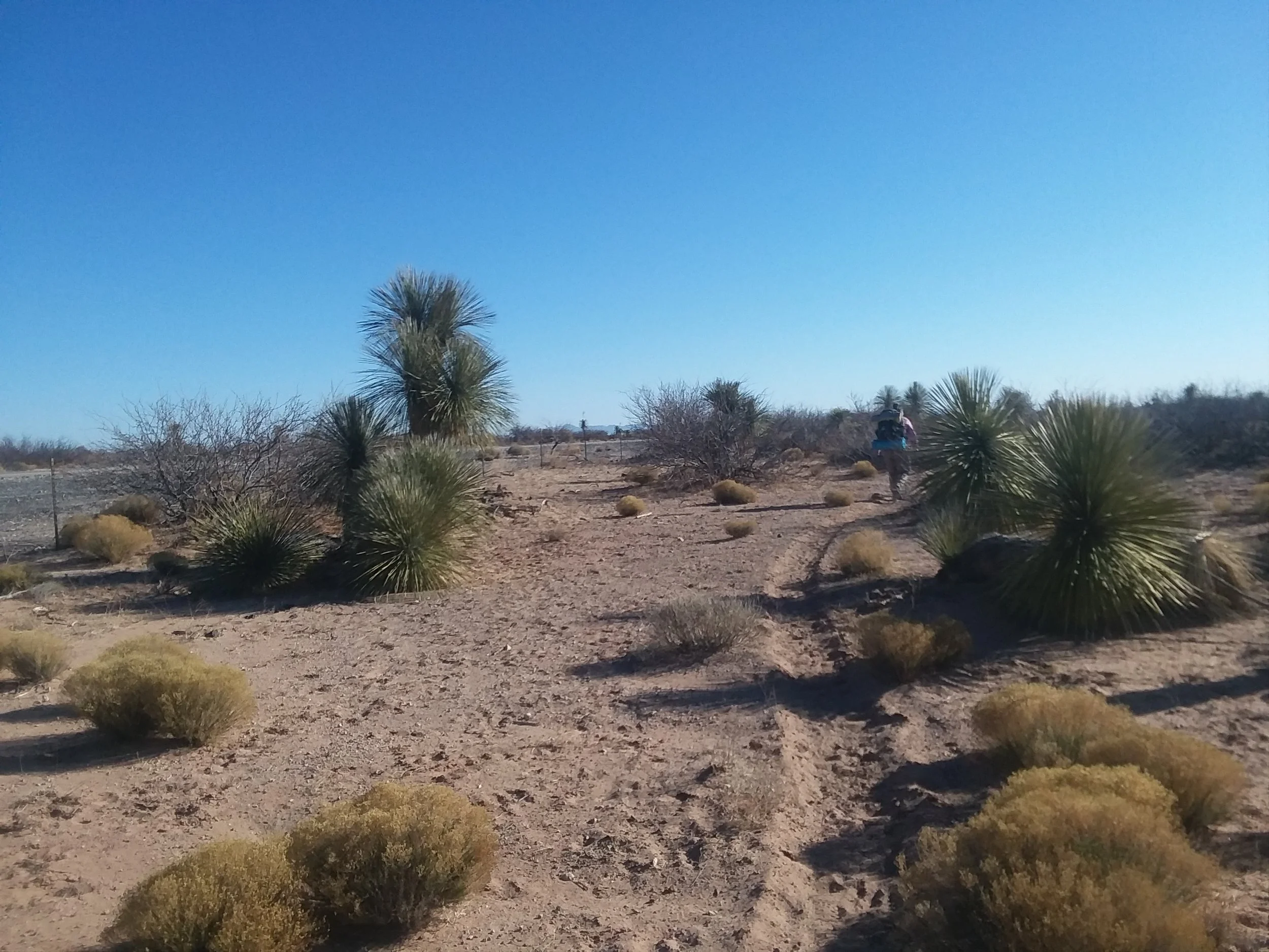 20180125_094203.jpg
