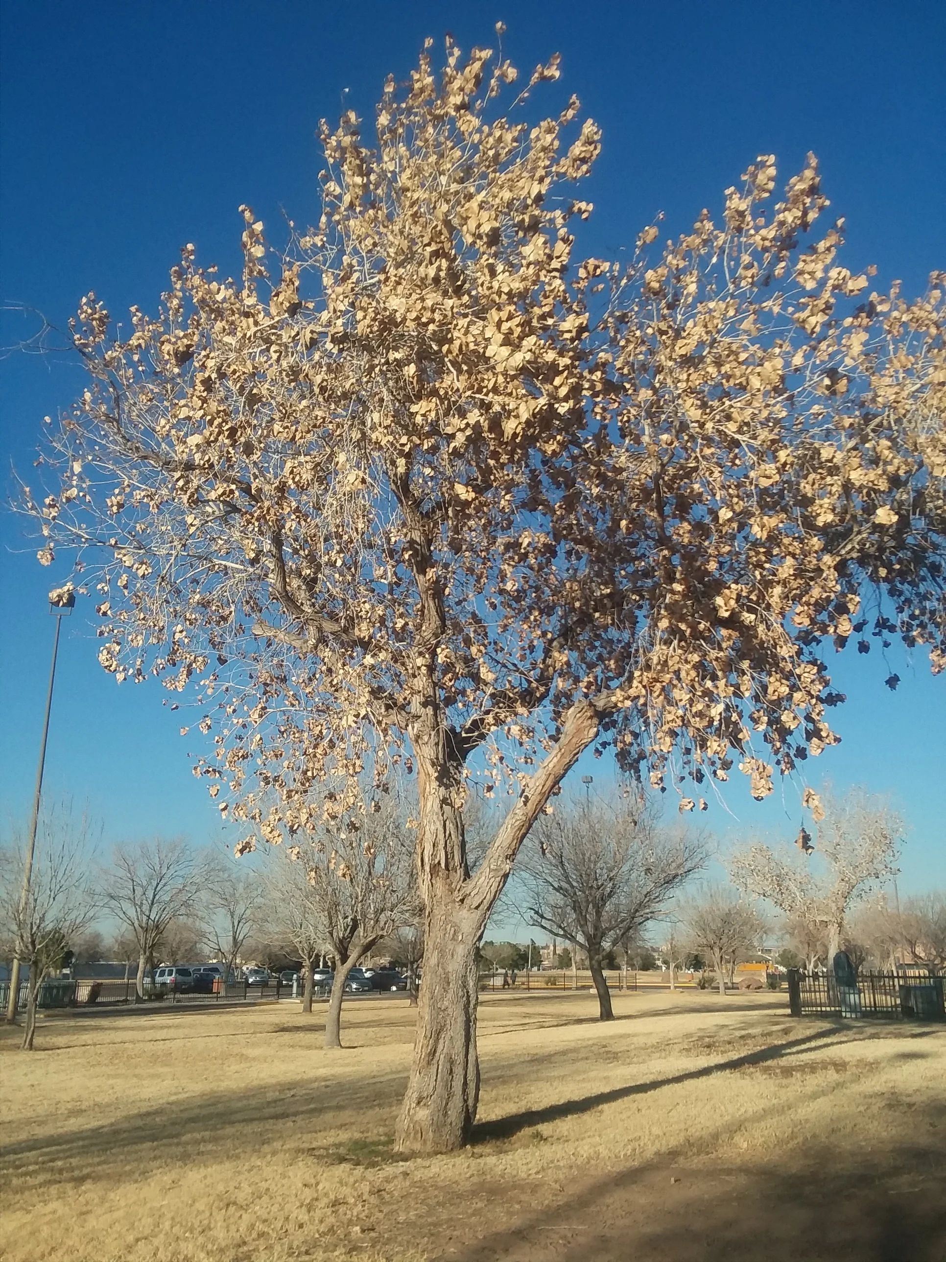 20180208_164037.jpg