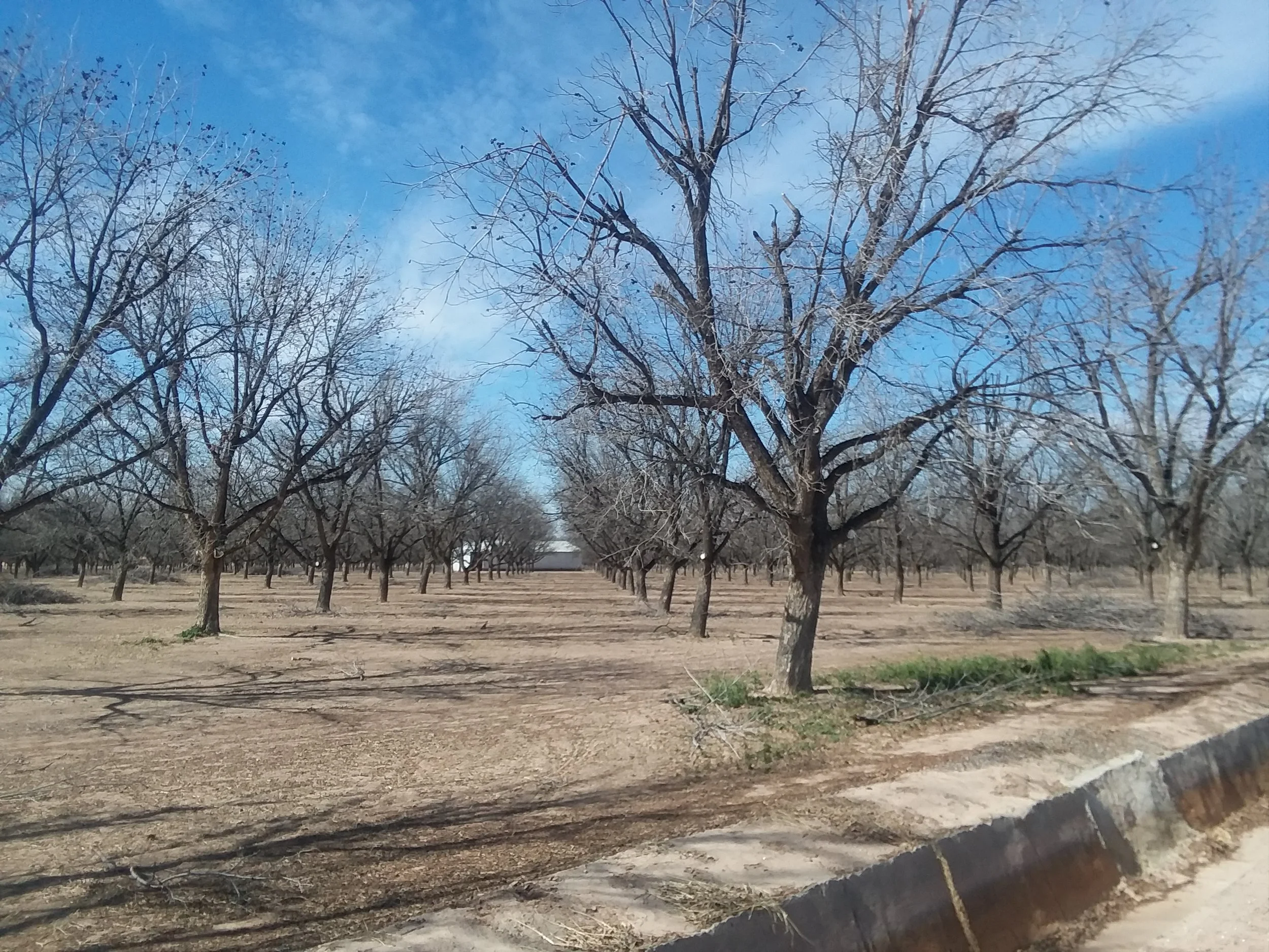 20180211_114834.jpg