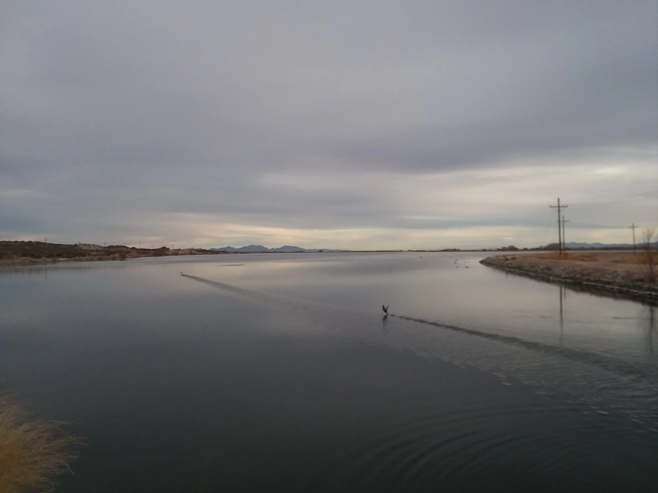20180213_164221.jpg