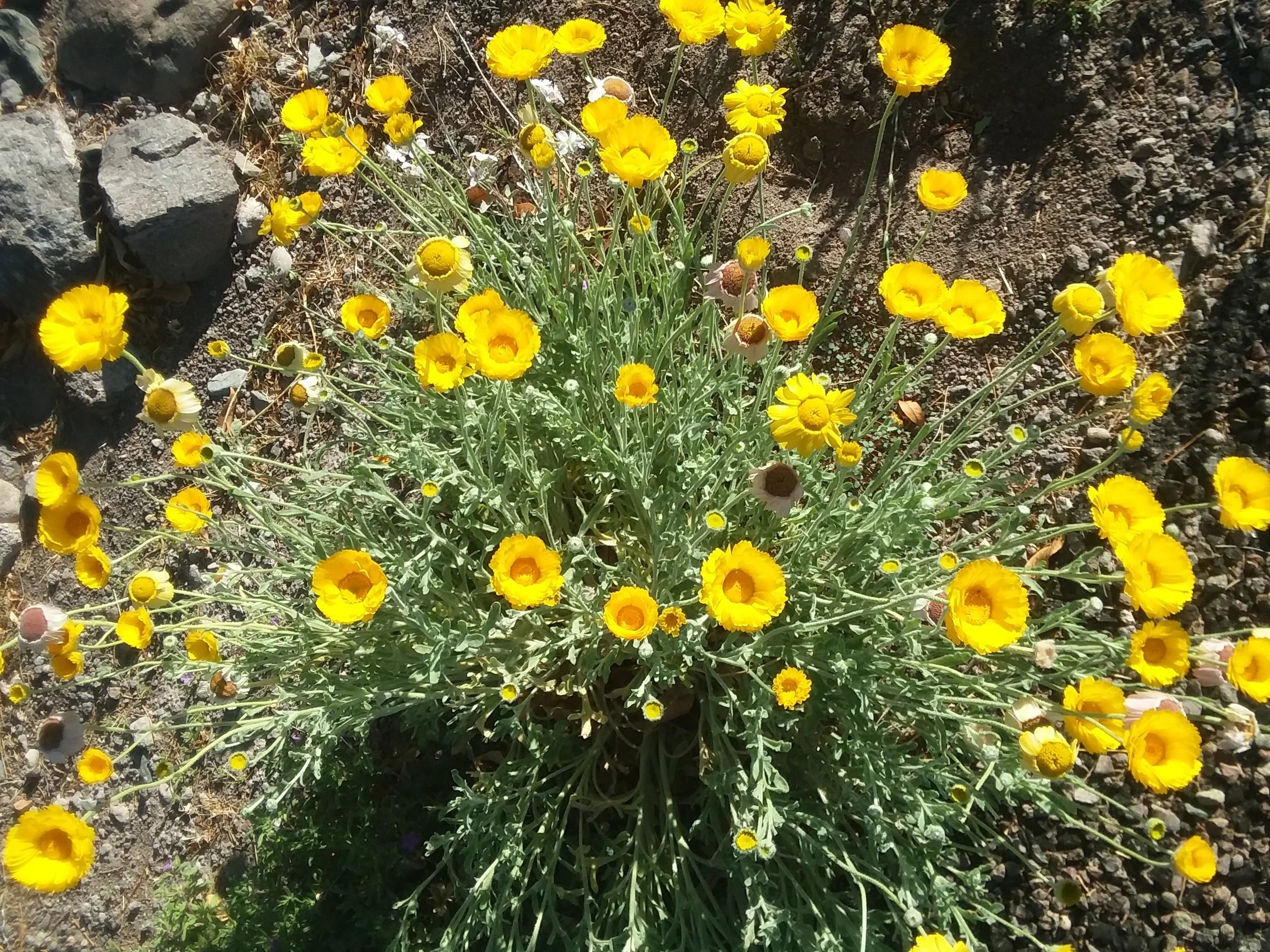 20180304_090009.jpg