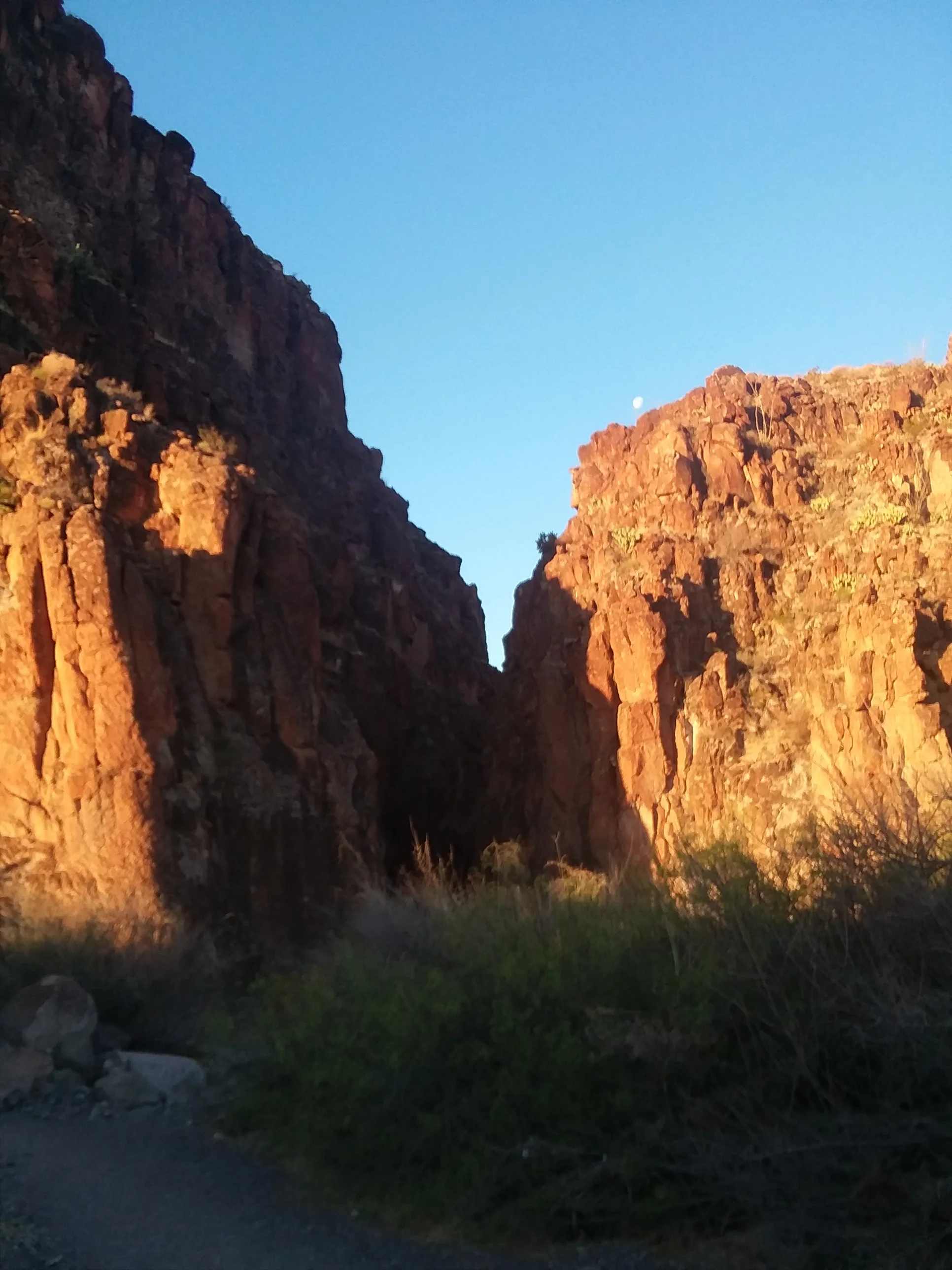 20180305_074203.jpg