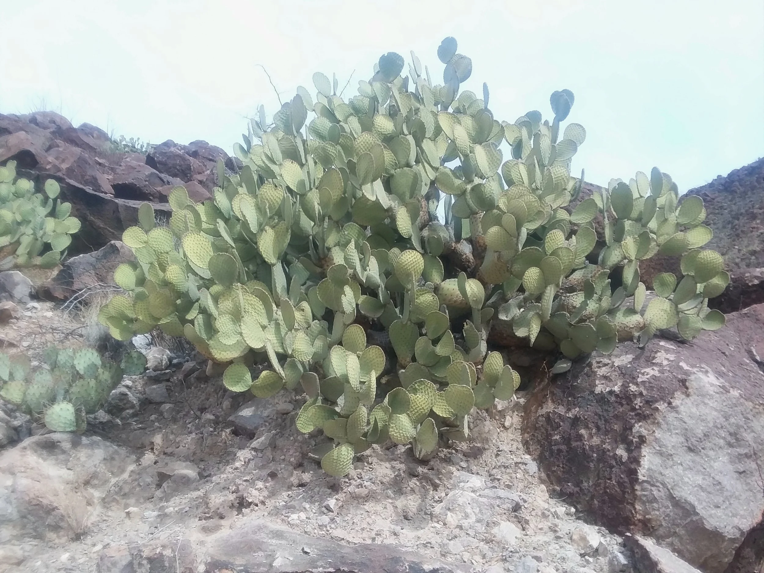 20160101_025115.jpg