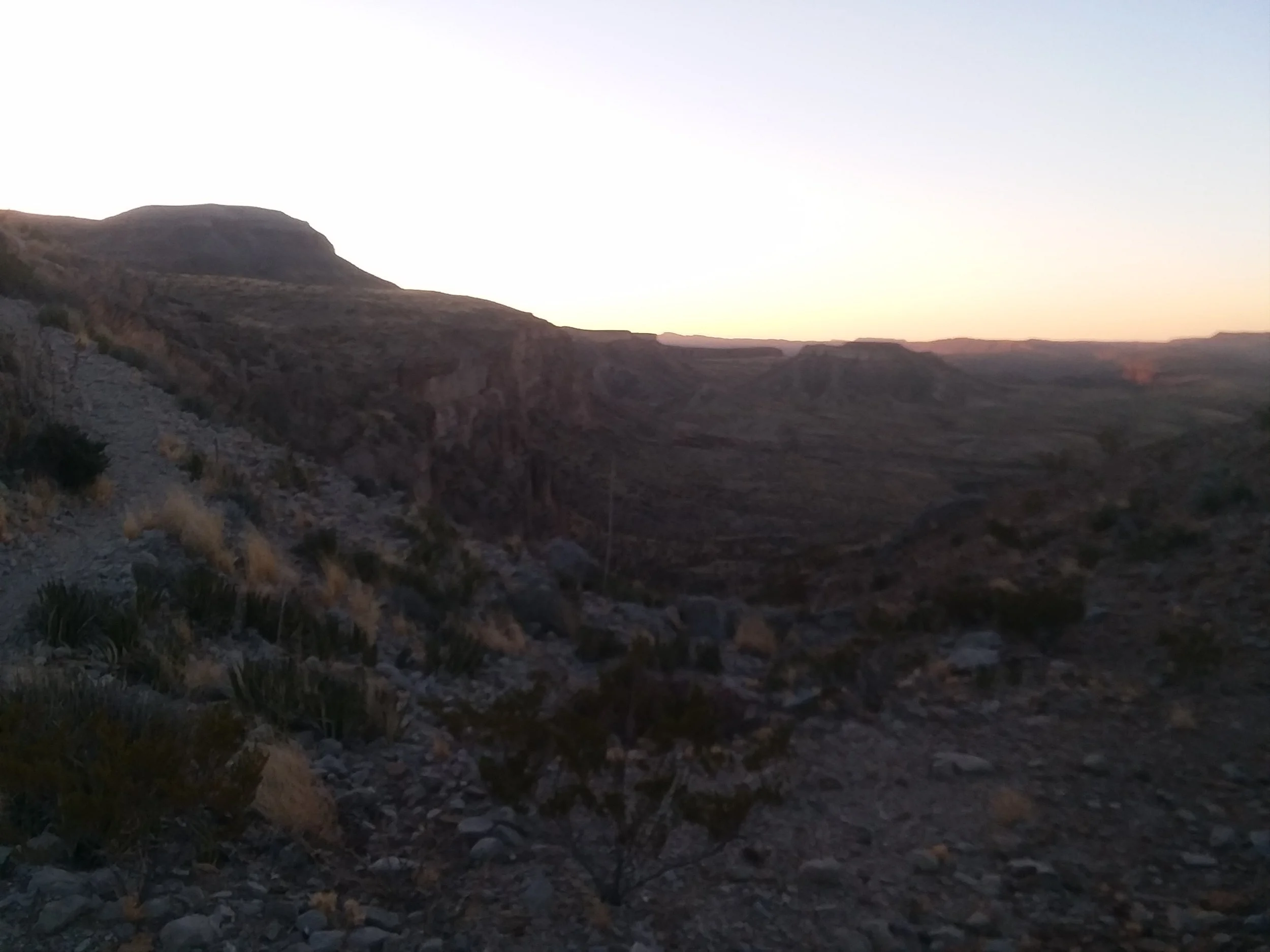 20180307_072616.jpg