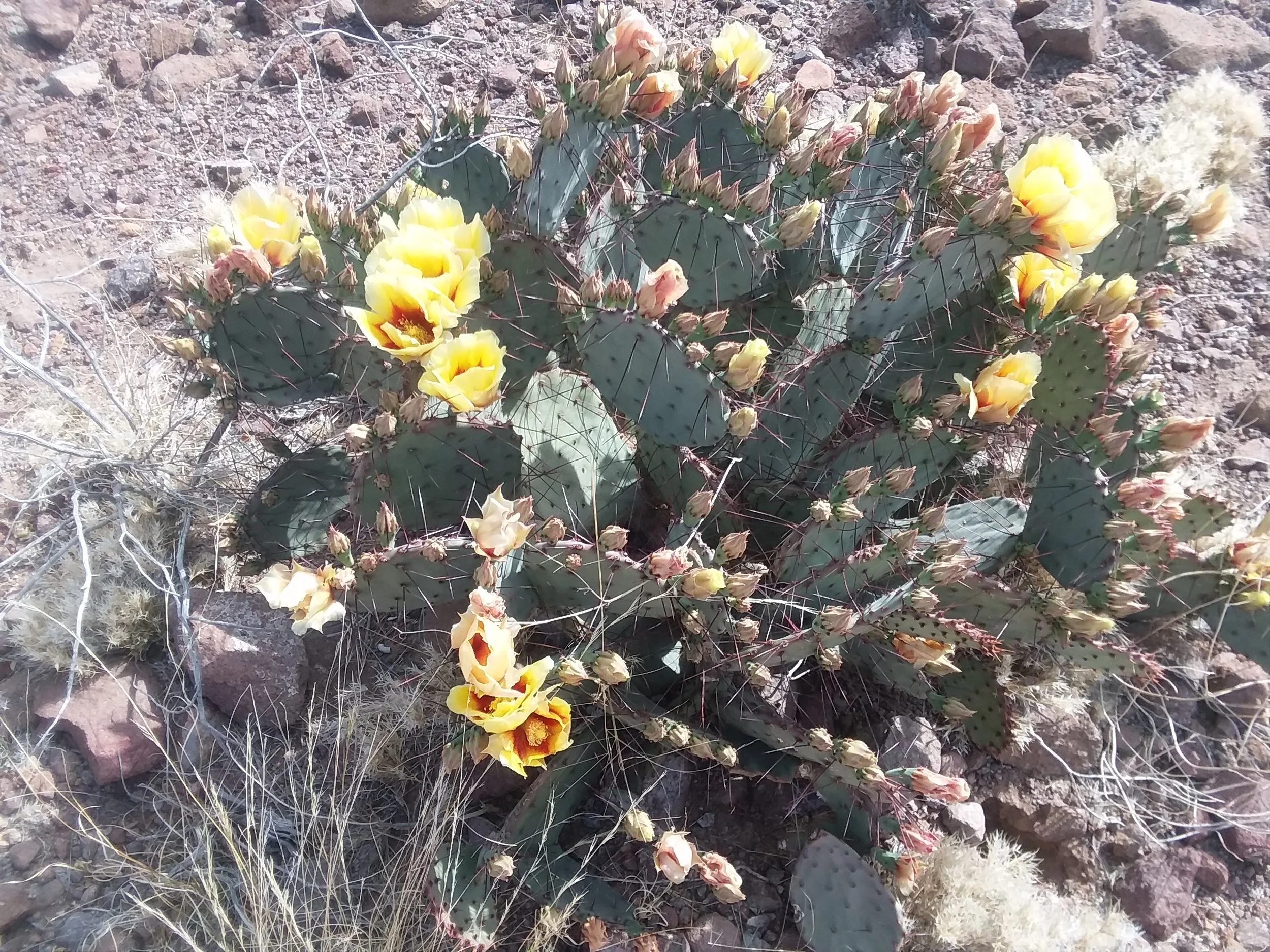 20180308_105604.jpg