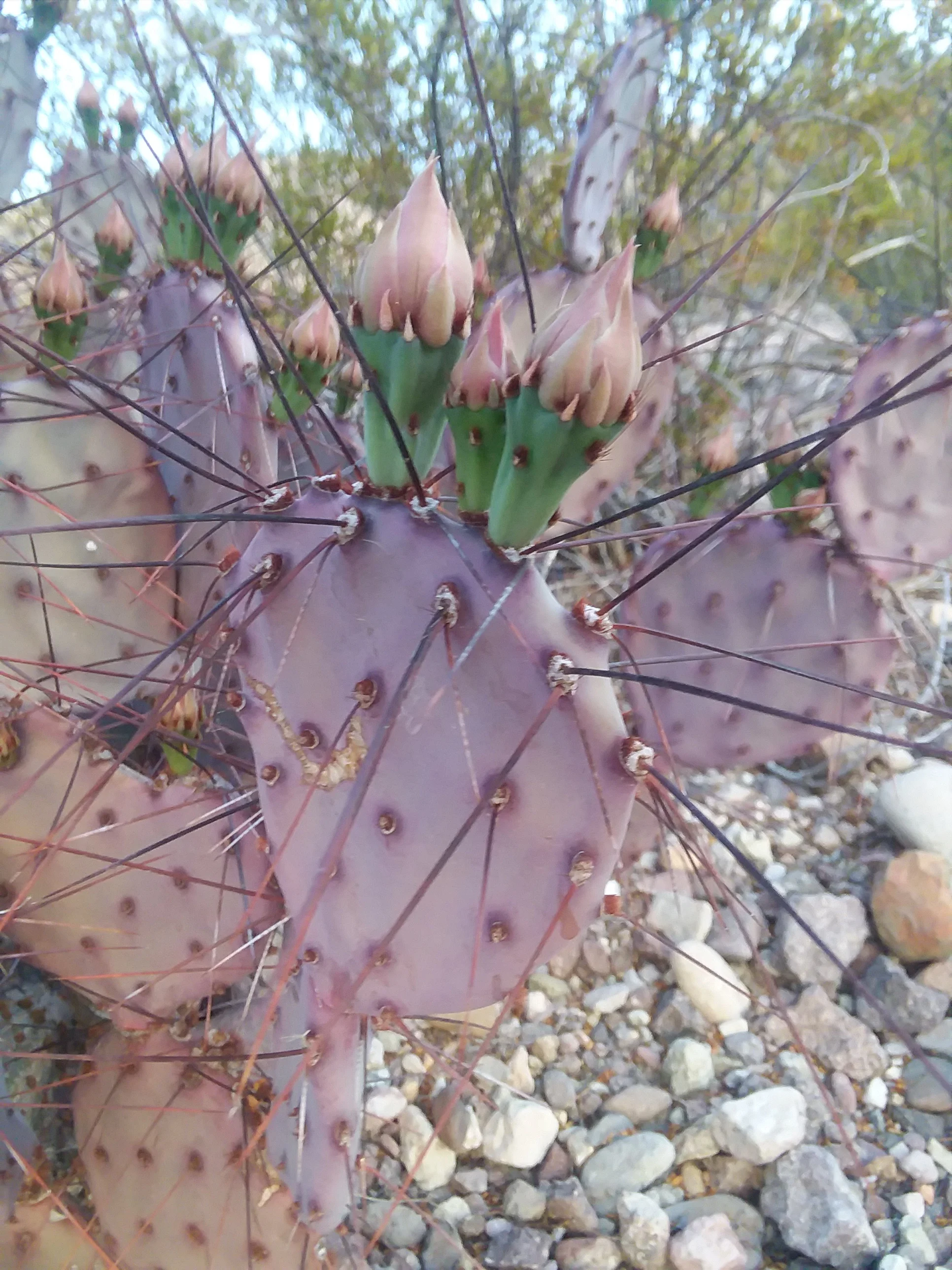20180308_185205.jpg