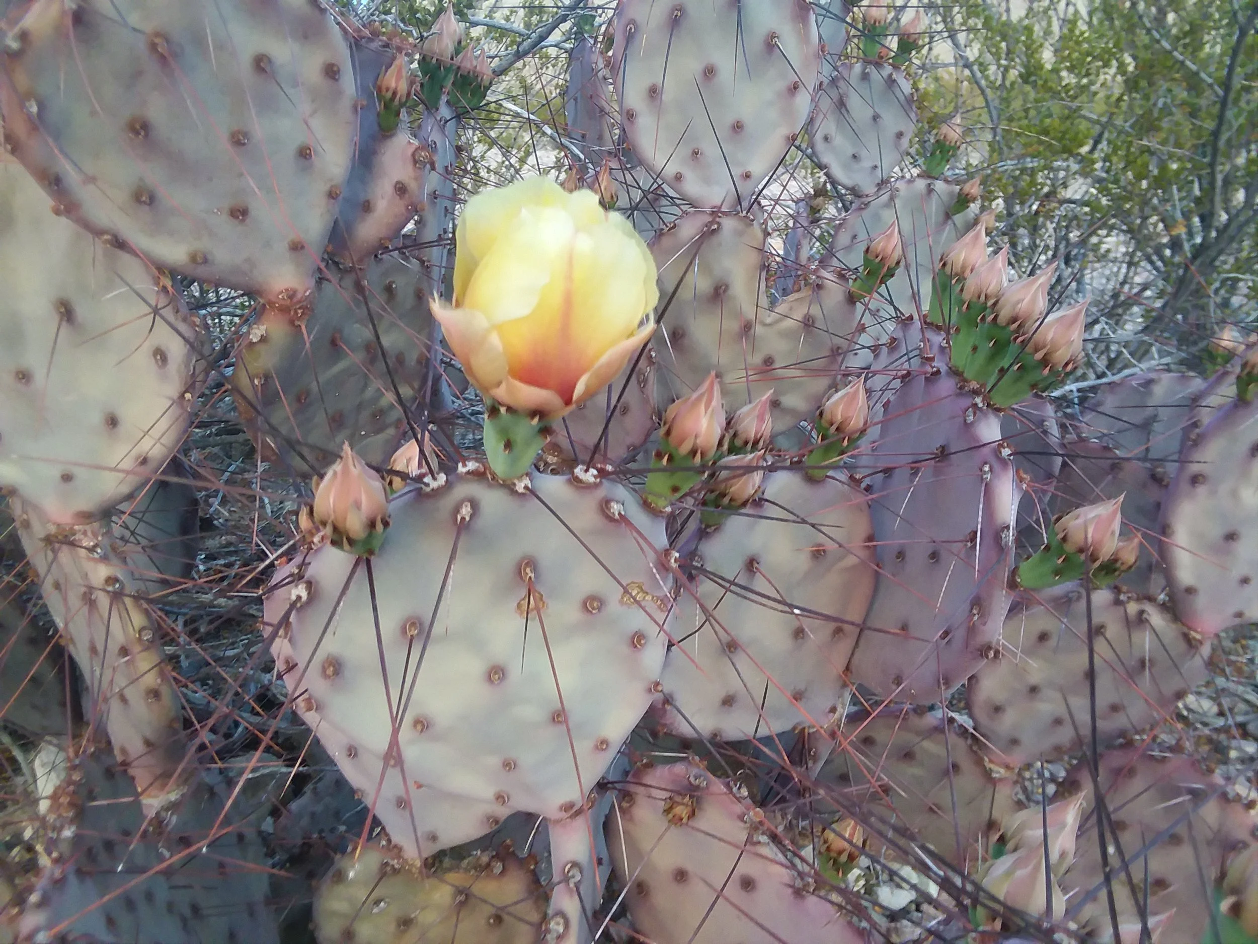 20180308_185200.jpg