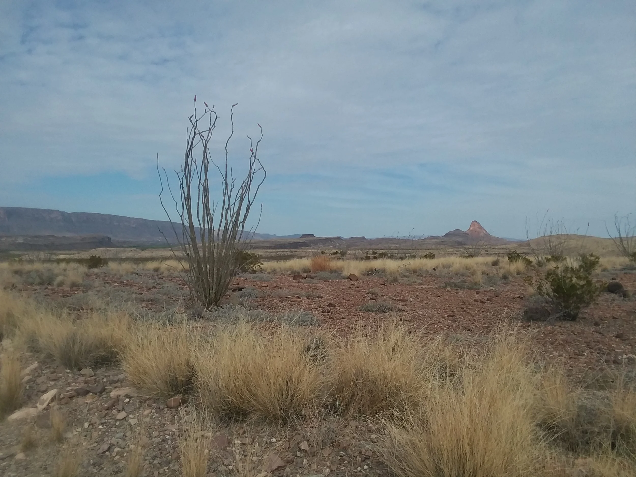 20180308_103444.jpg