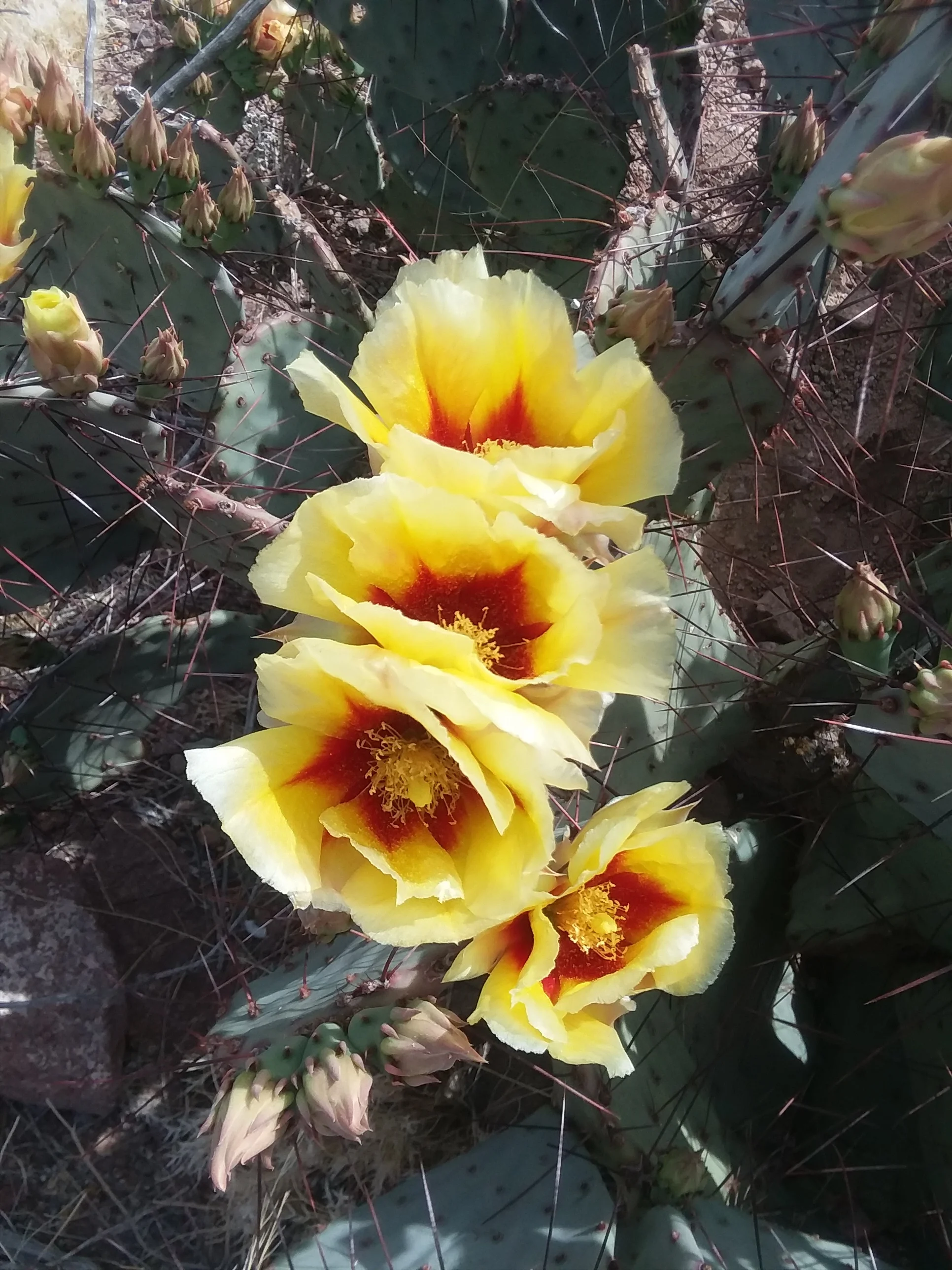 20180308_105609.jpg