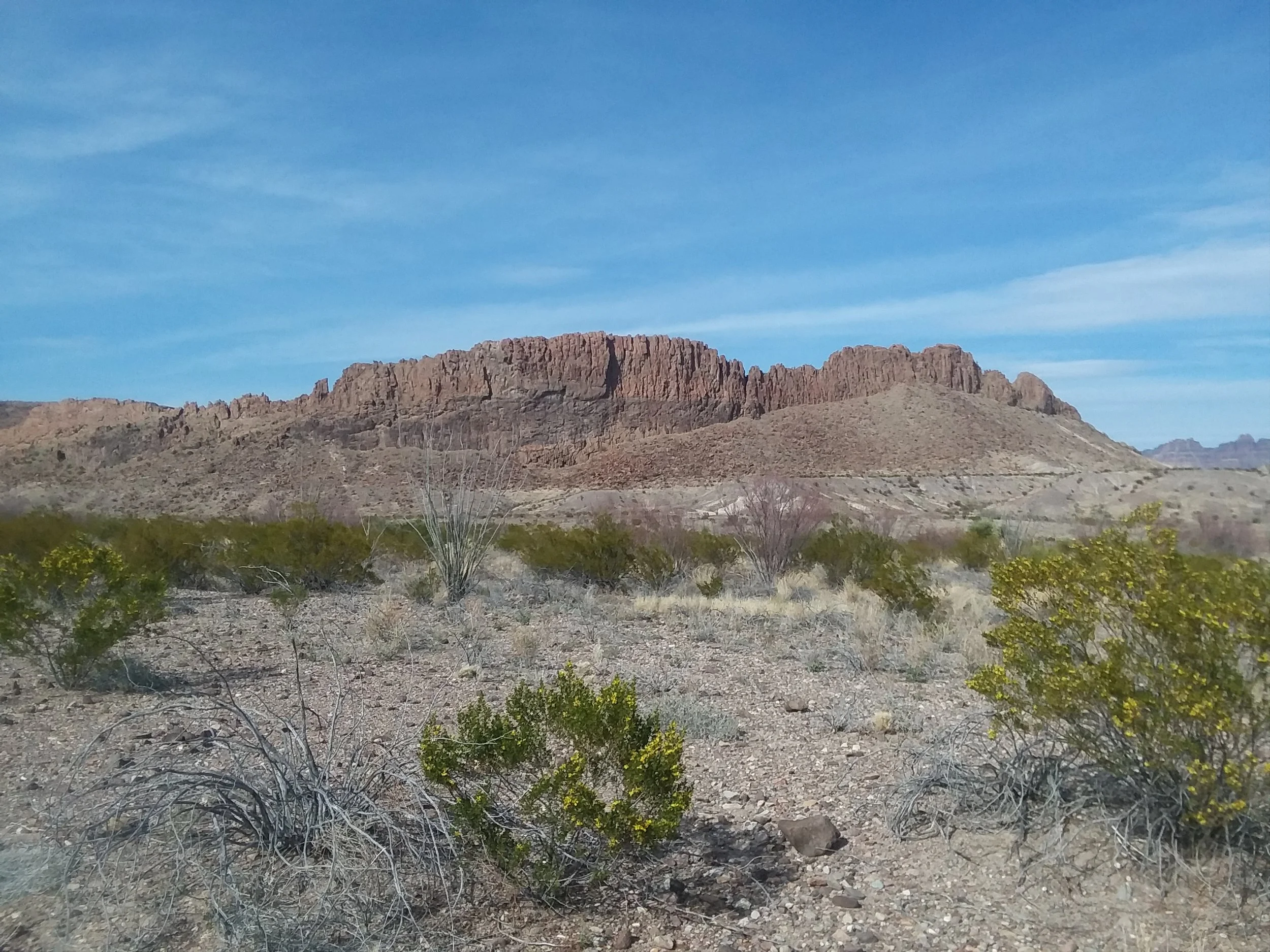 20180308_160656.jpg