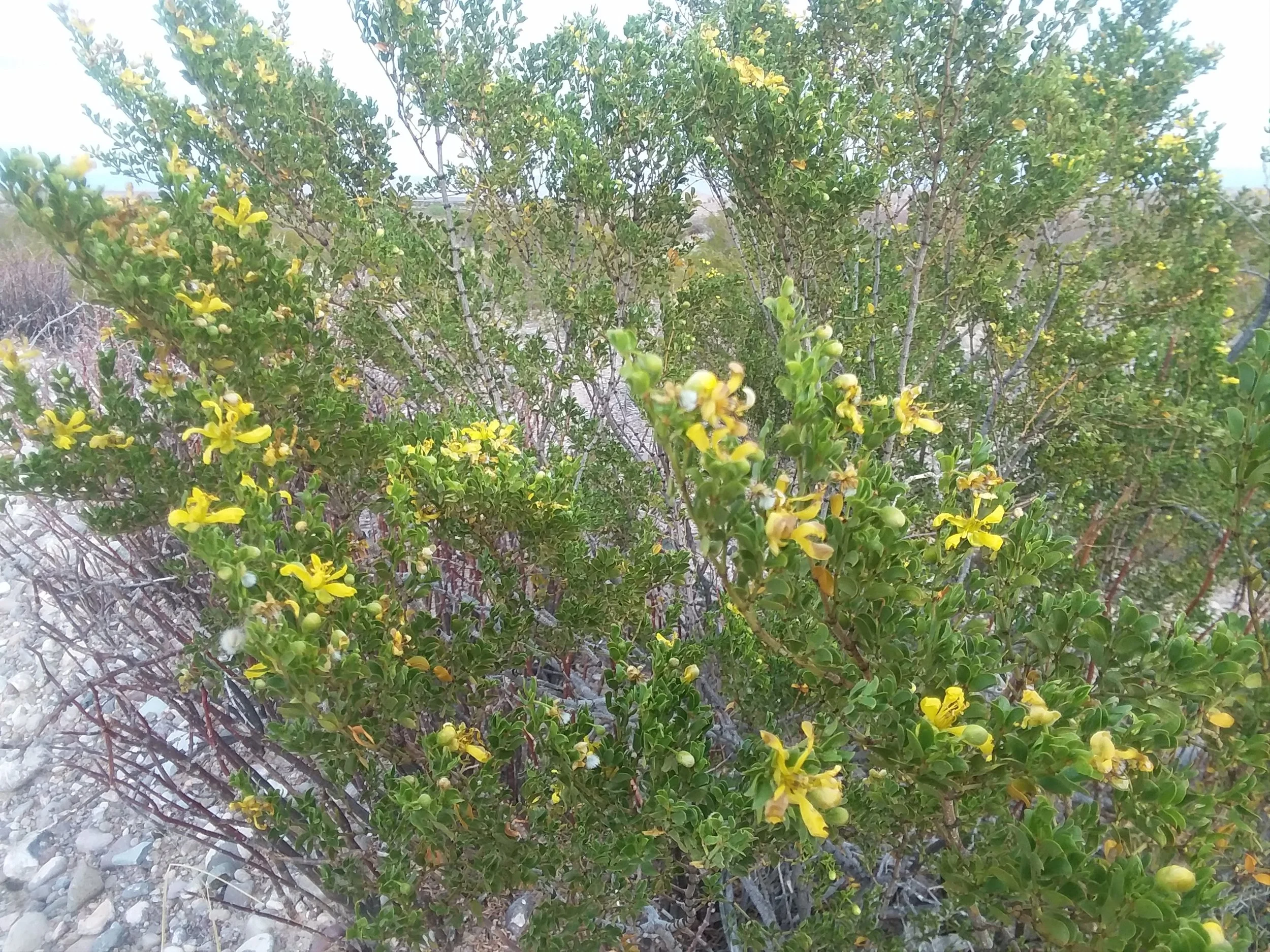 20180308_171633.jpg