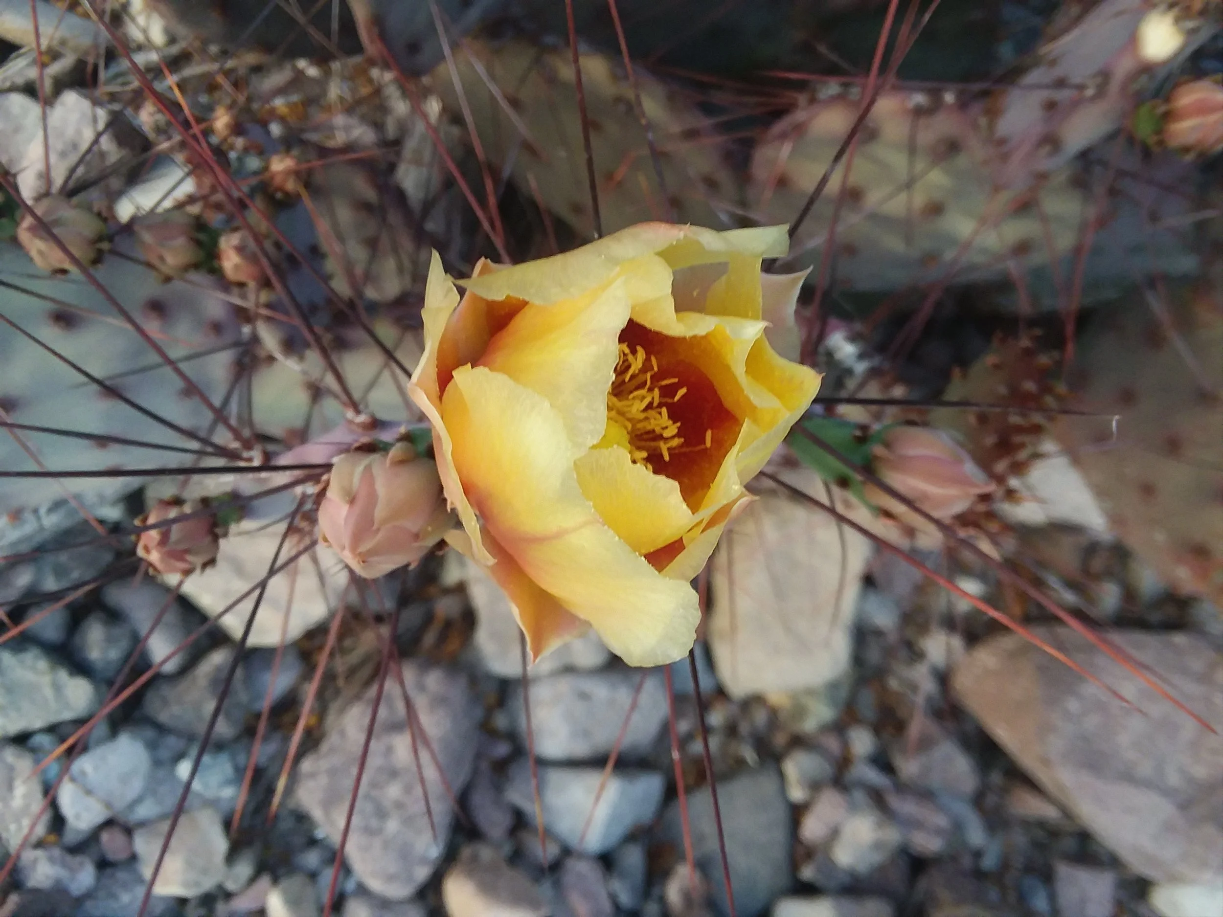 20180308_185217.jpg