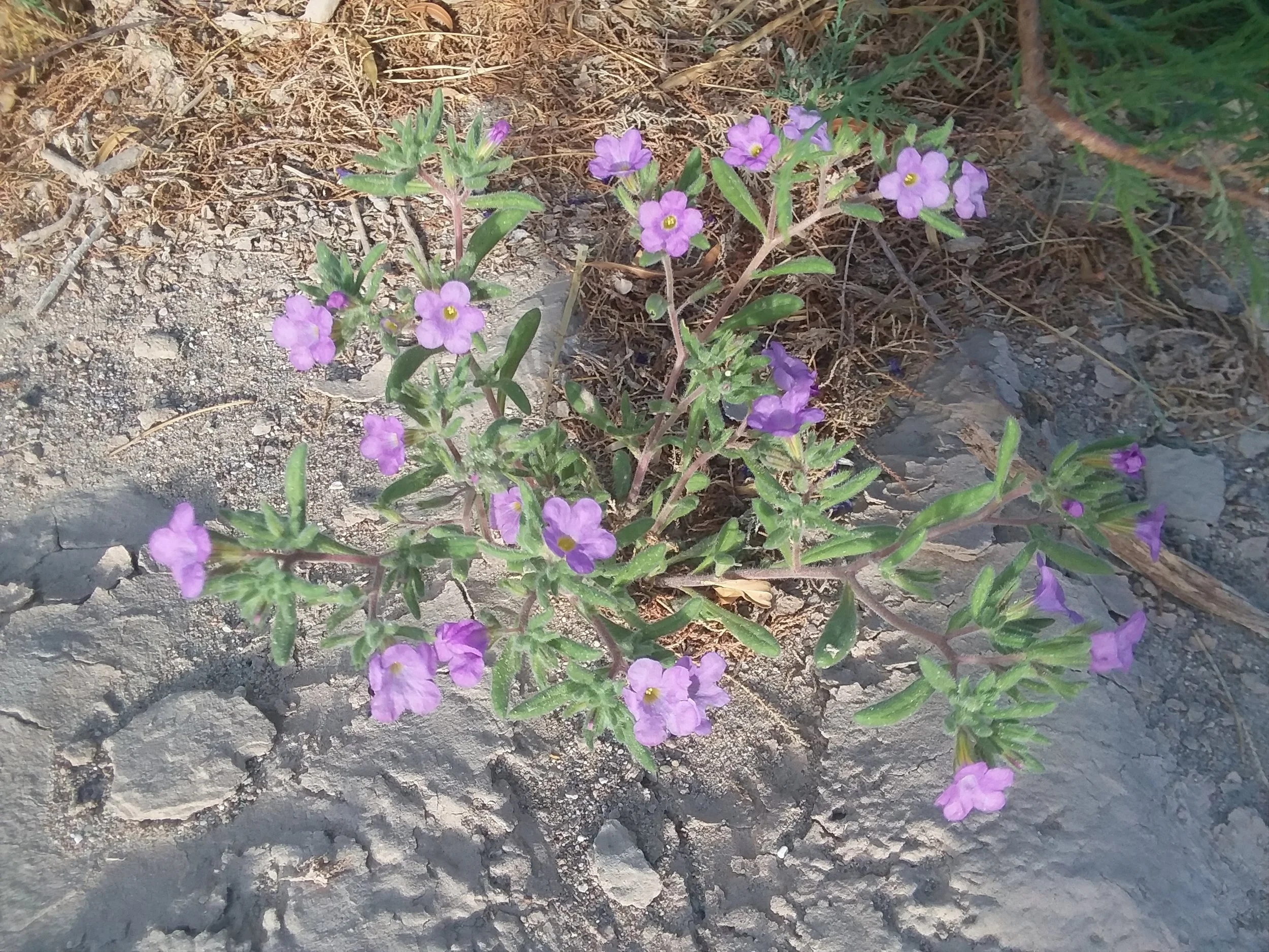 20180310_164853.jpg