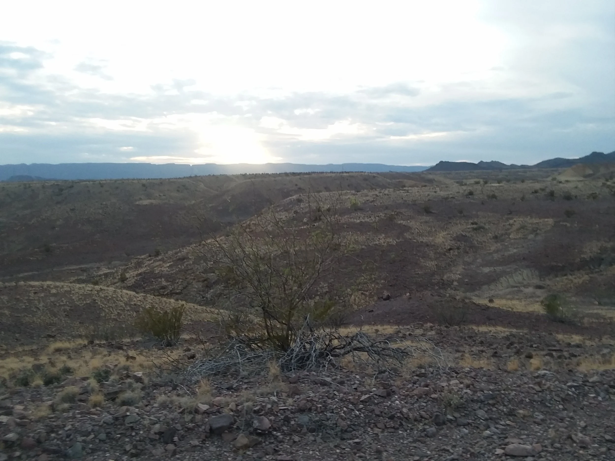20180308_182658.jpg