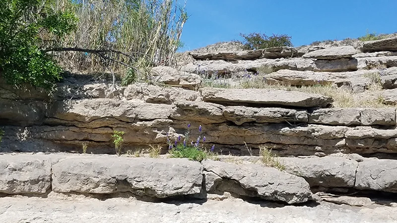 RioGrande2018_0164.jpg