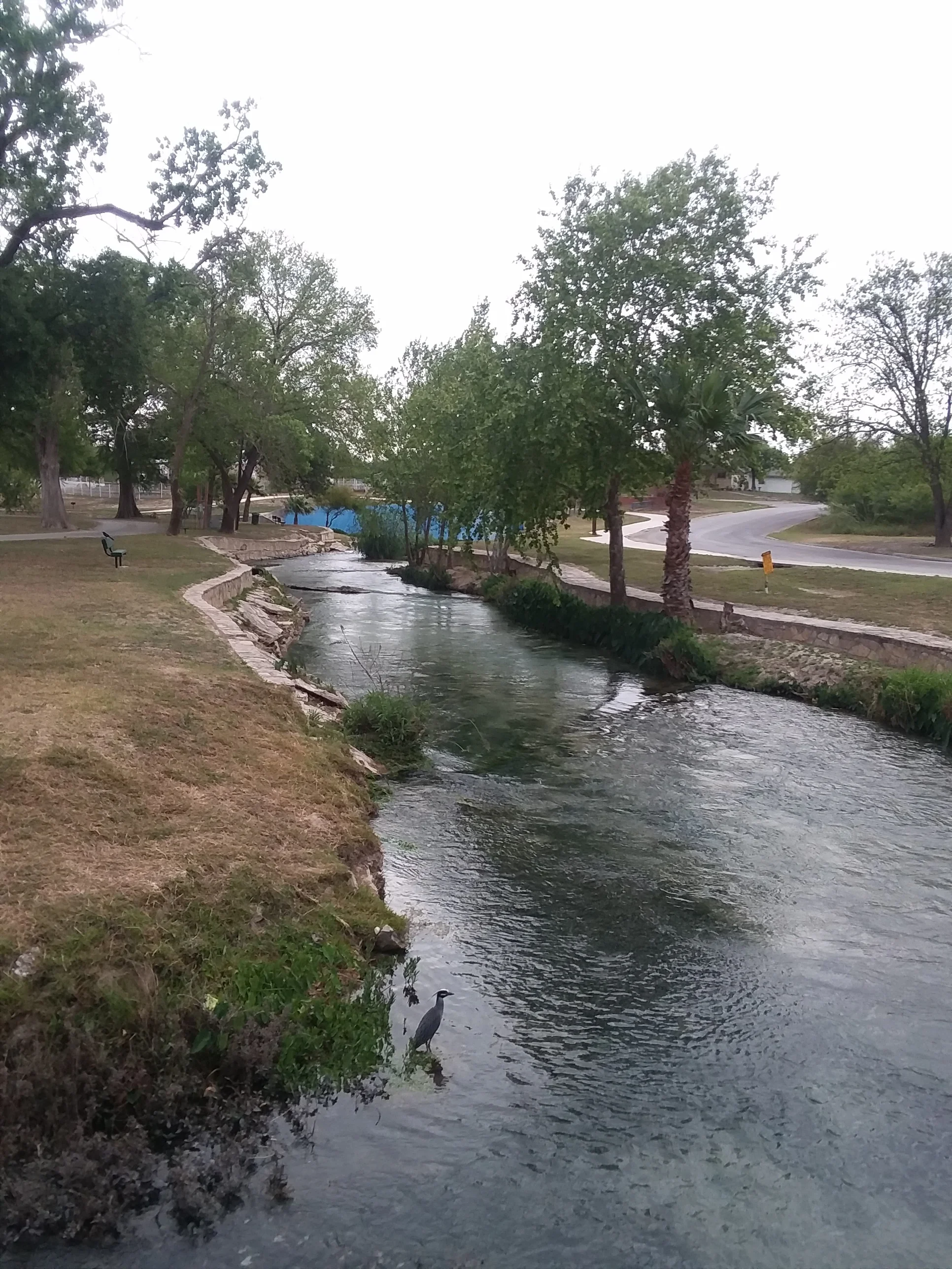 20180407_095454.jpg