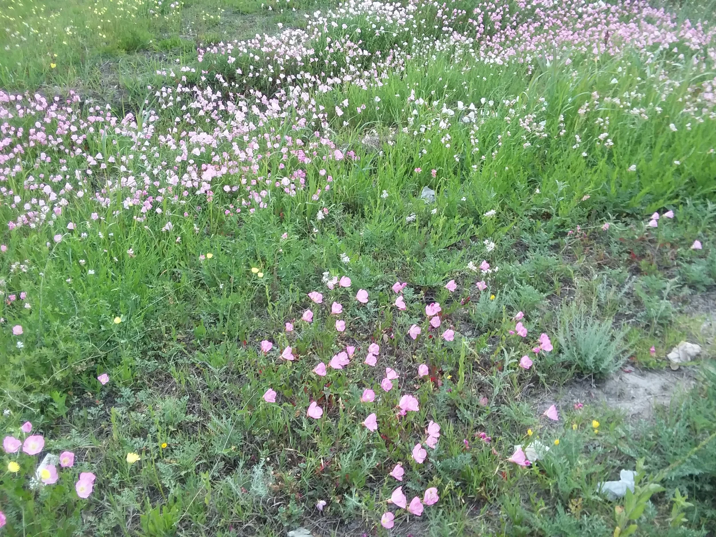 20180407_101016.jpg