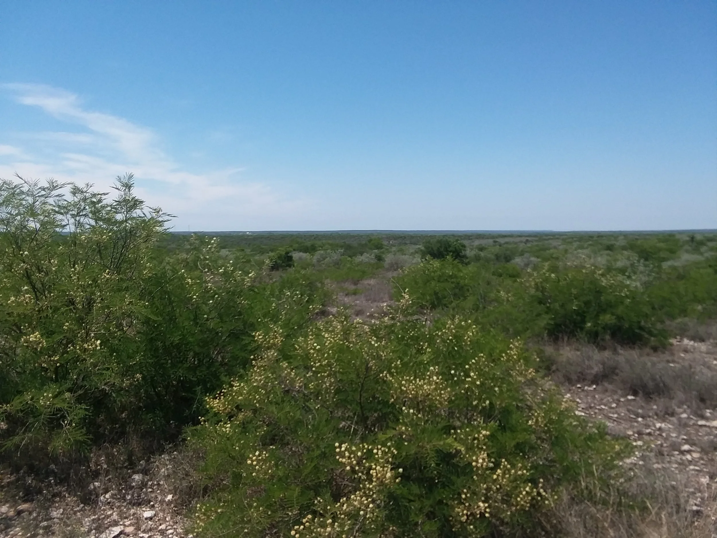 20180410_132944.jpg