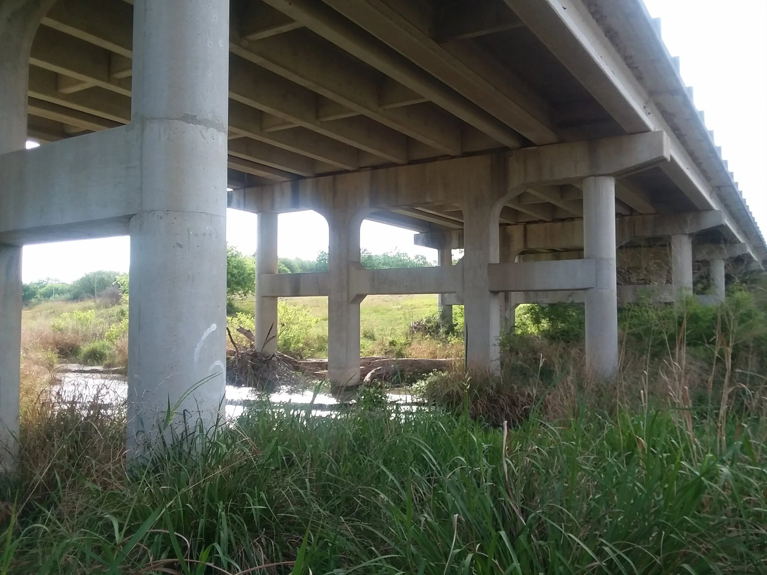 20180410_093249.jpg