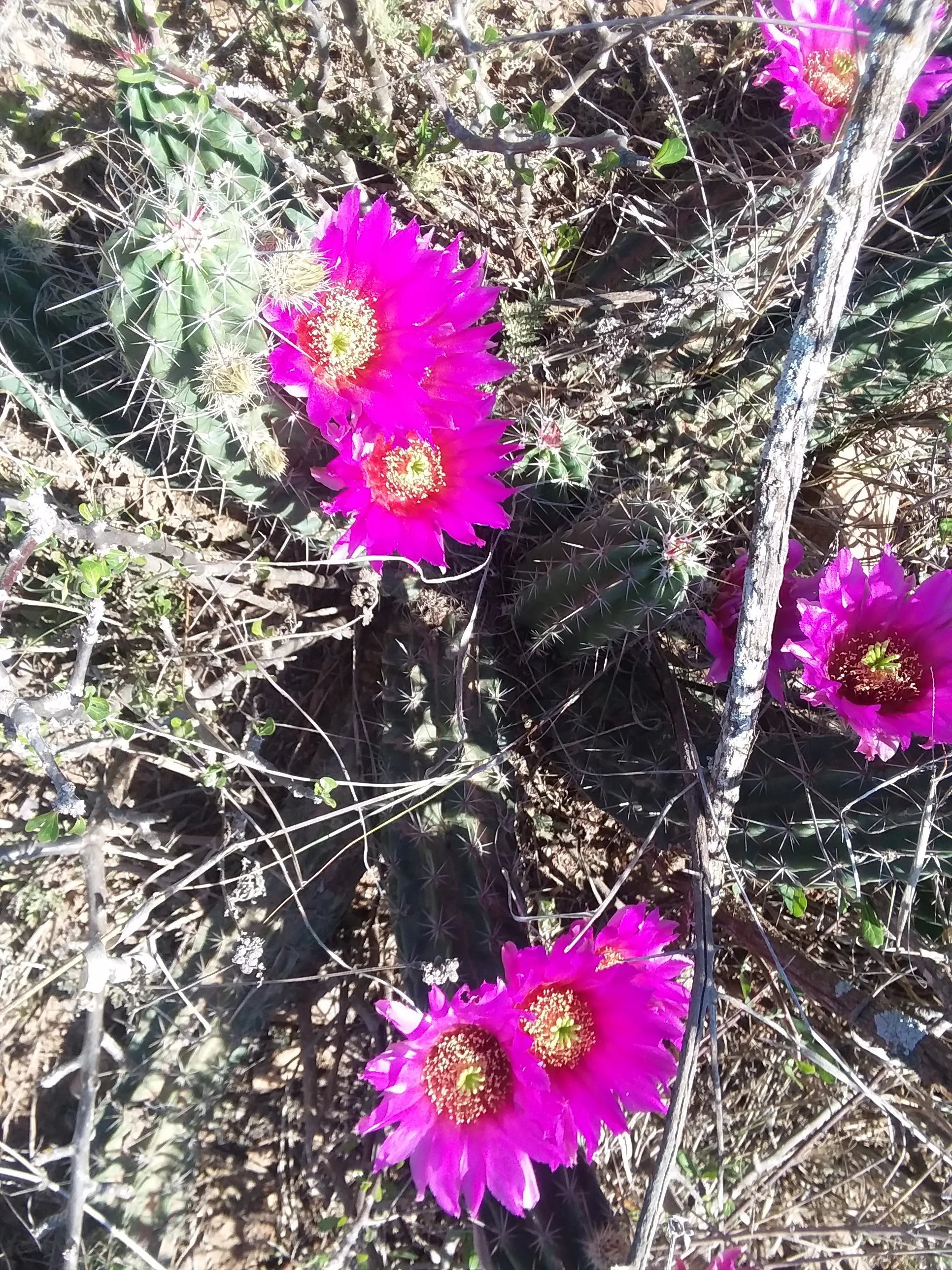 20180410_155739.jpg