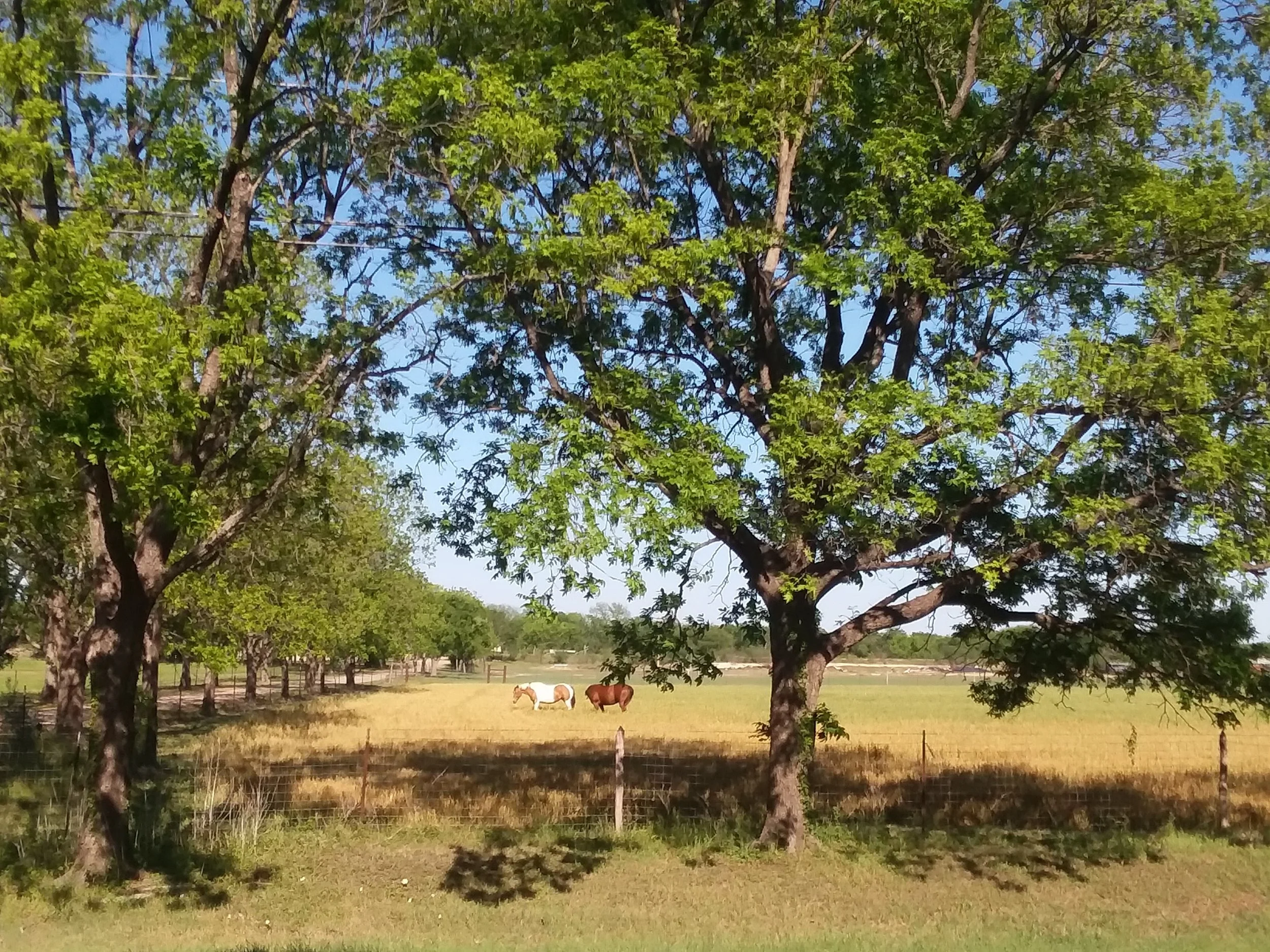 20180410_172633.jpg