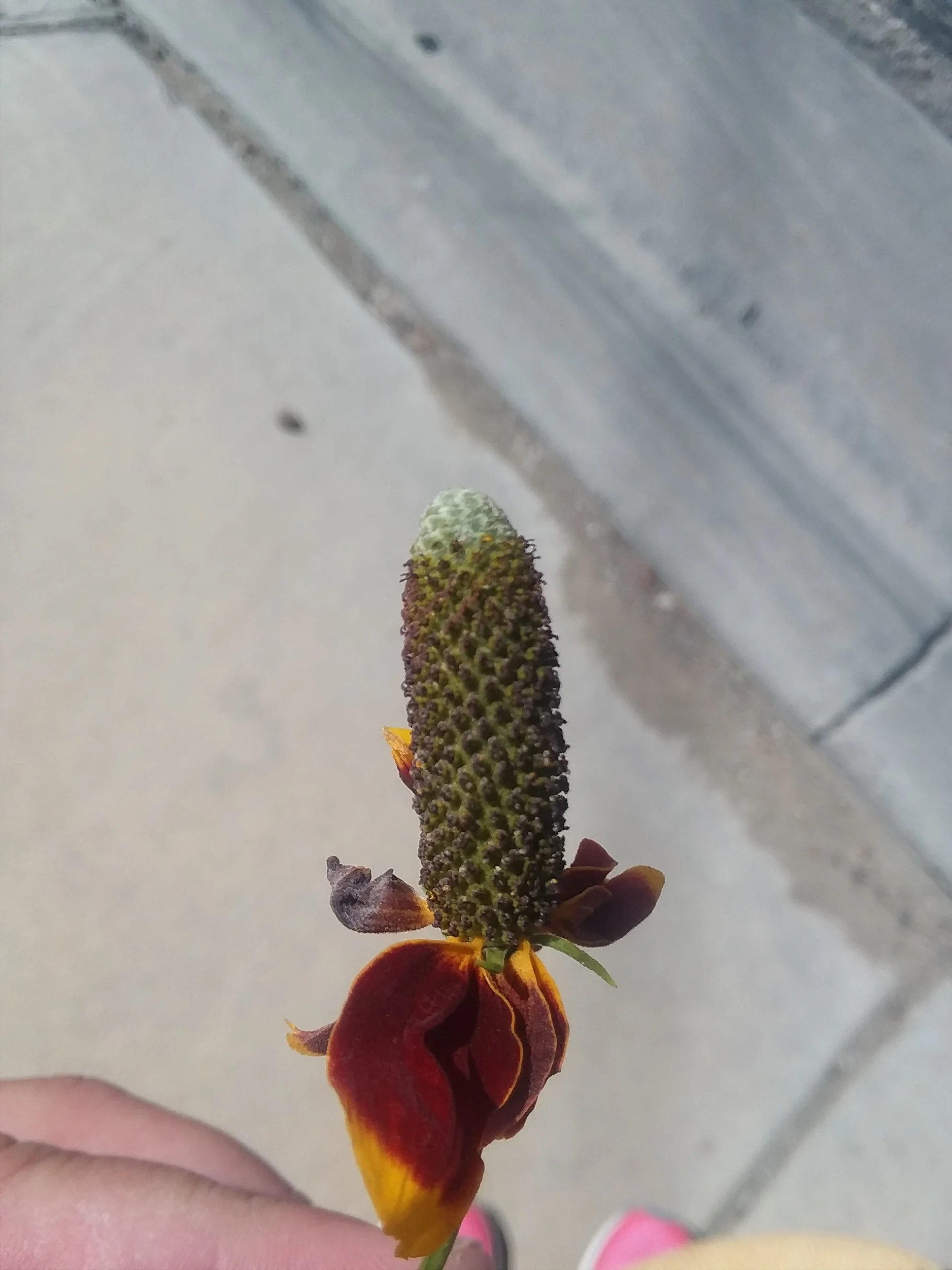 20180414_120553.jpg