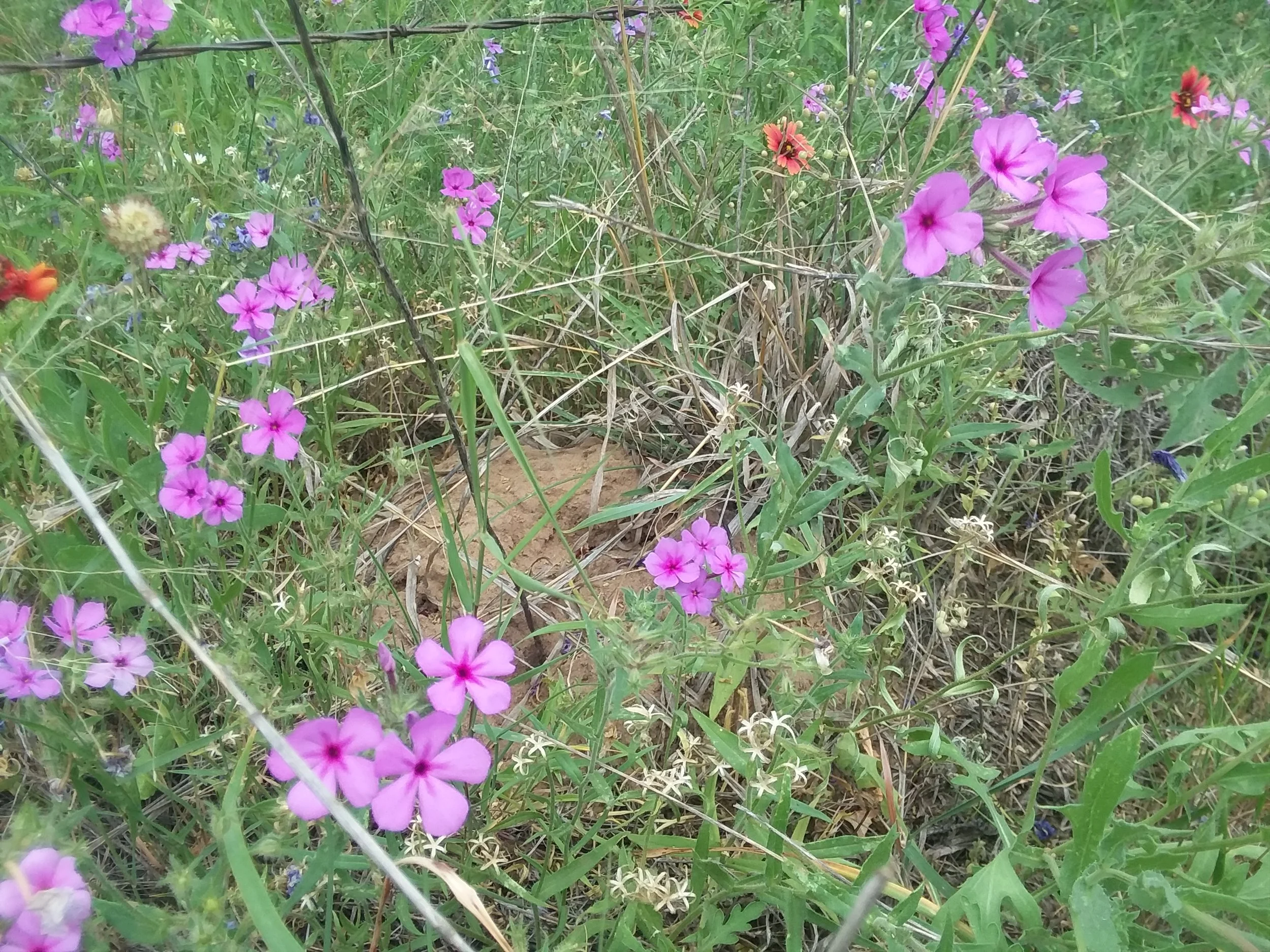 20180420_131017.jpg