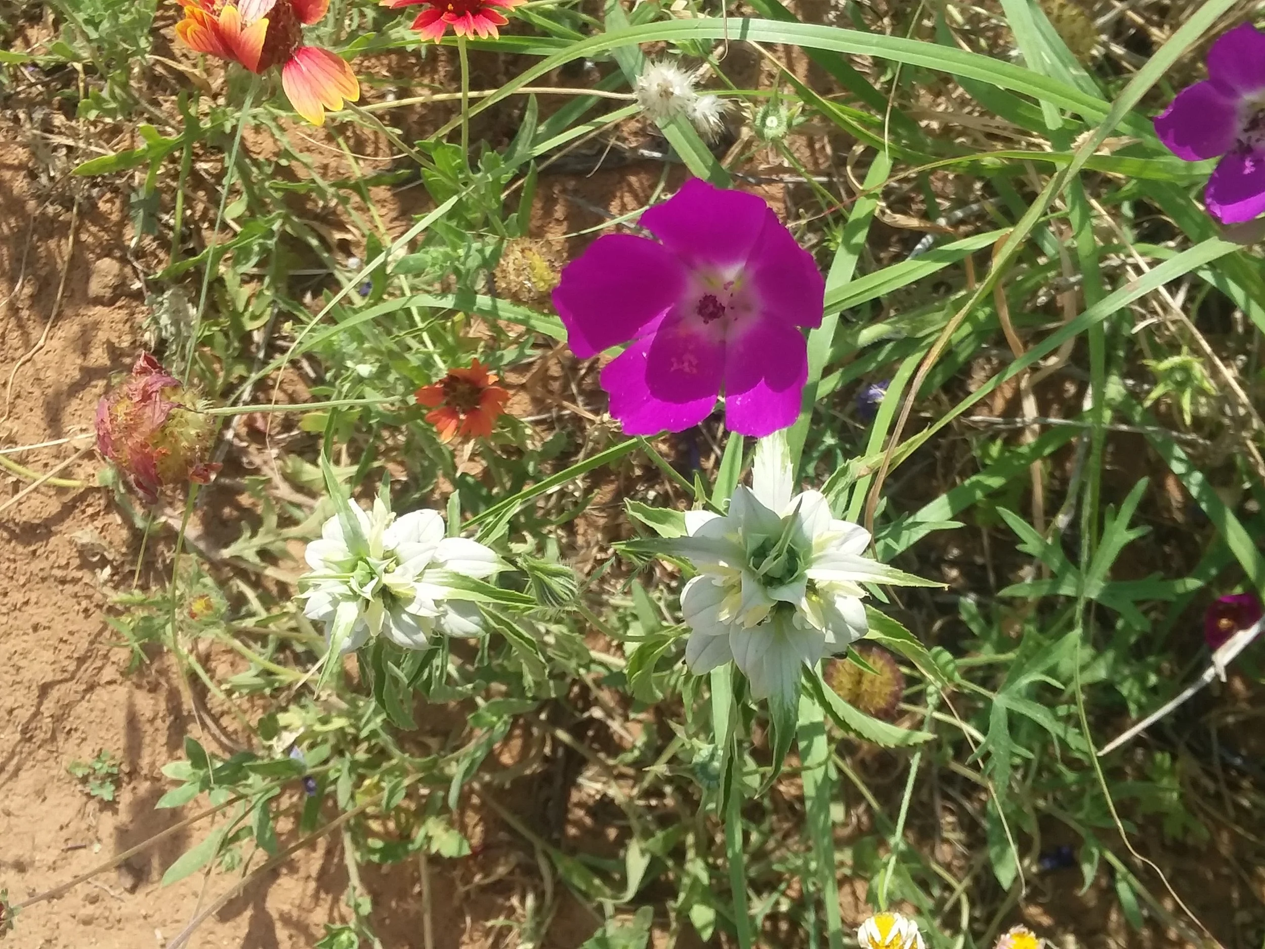 20180420_113120.jpg