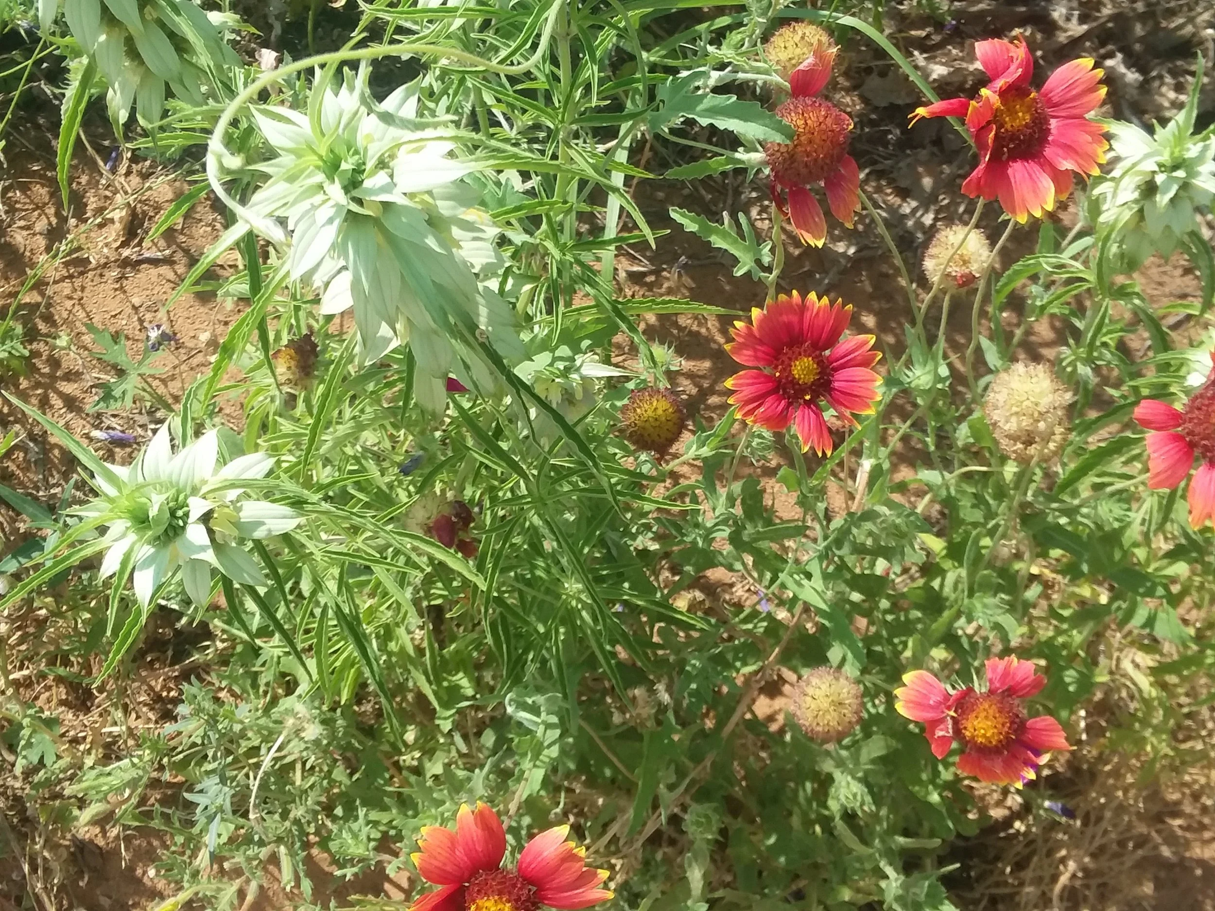20180420_112947.jpg