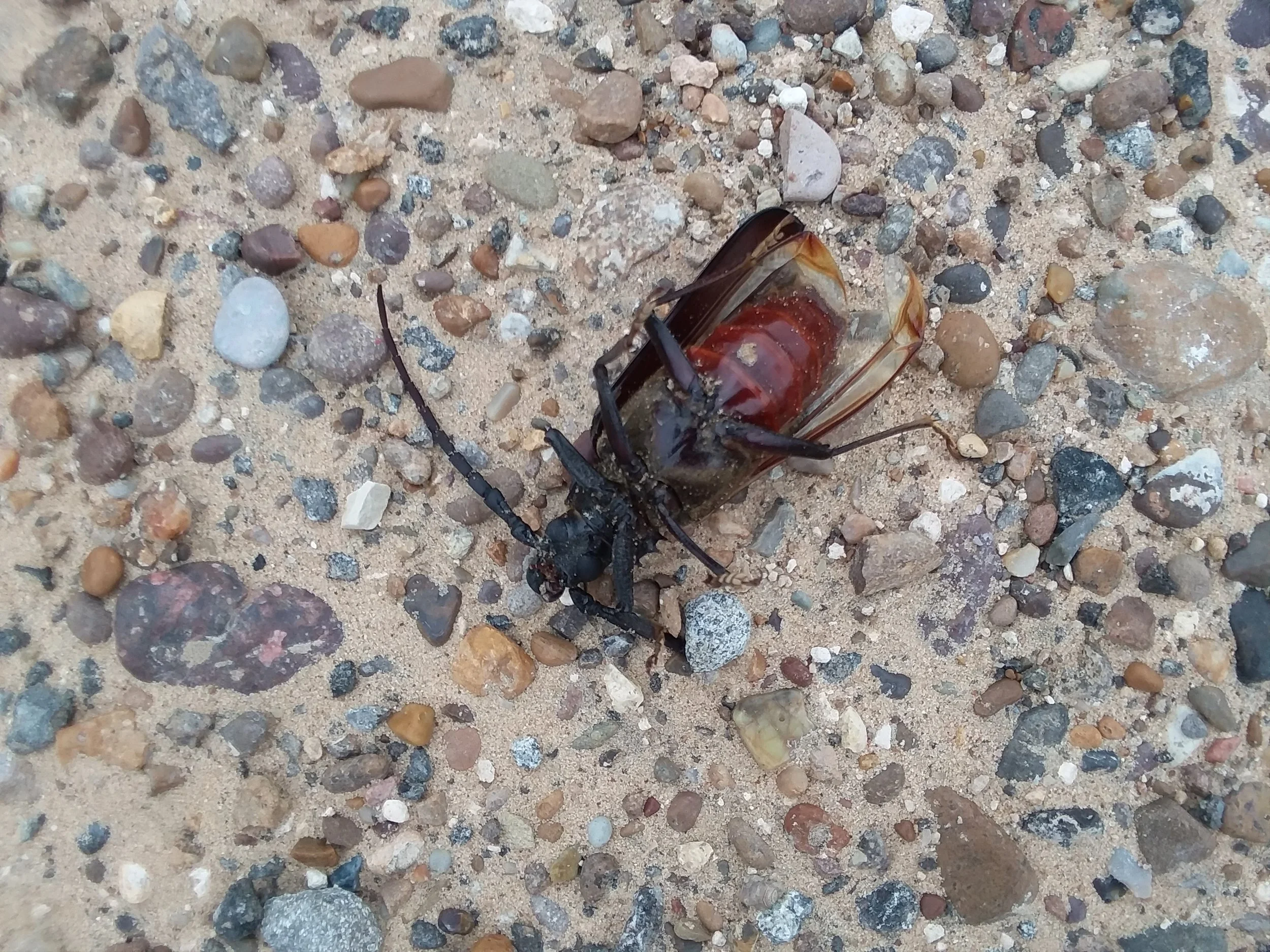 20180429_160050.jpg