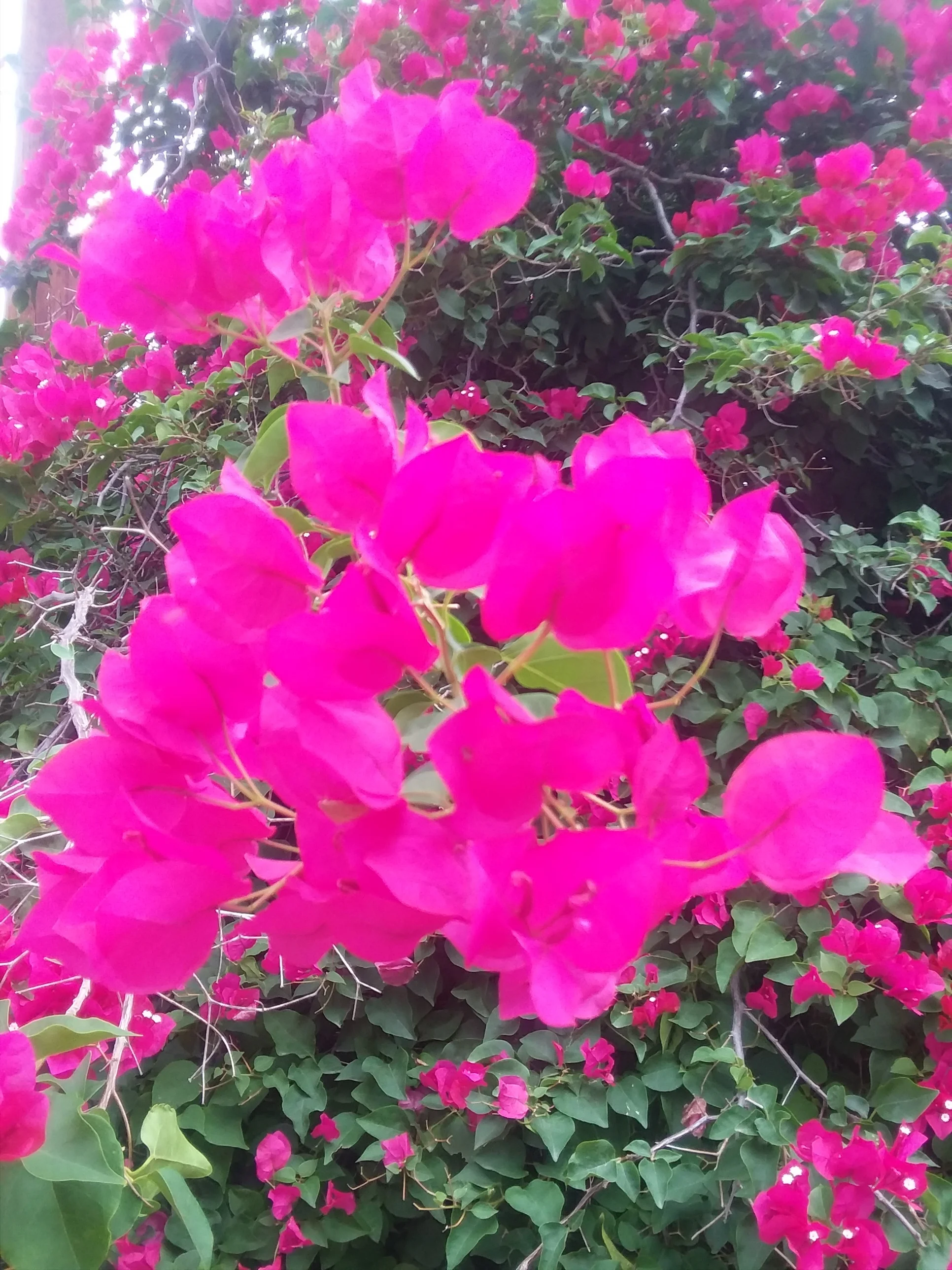 20180504_094847.jpg