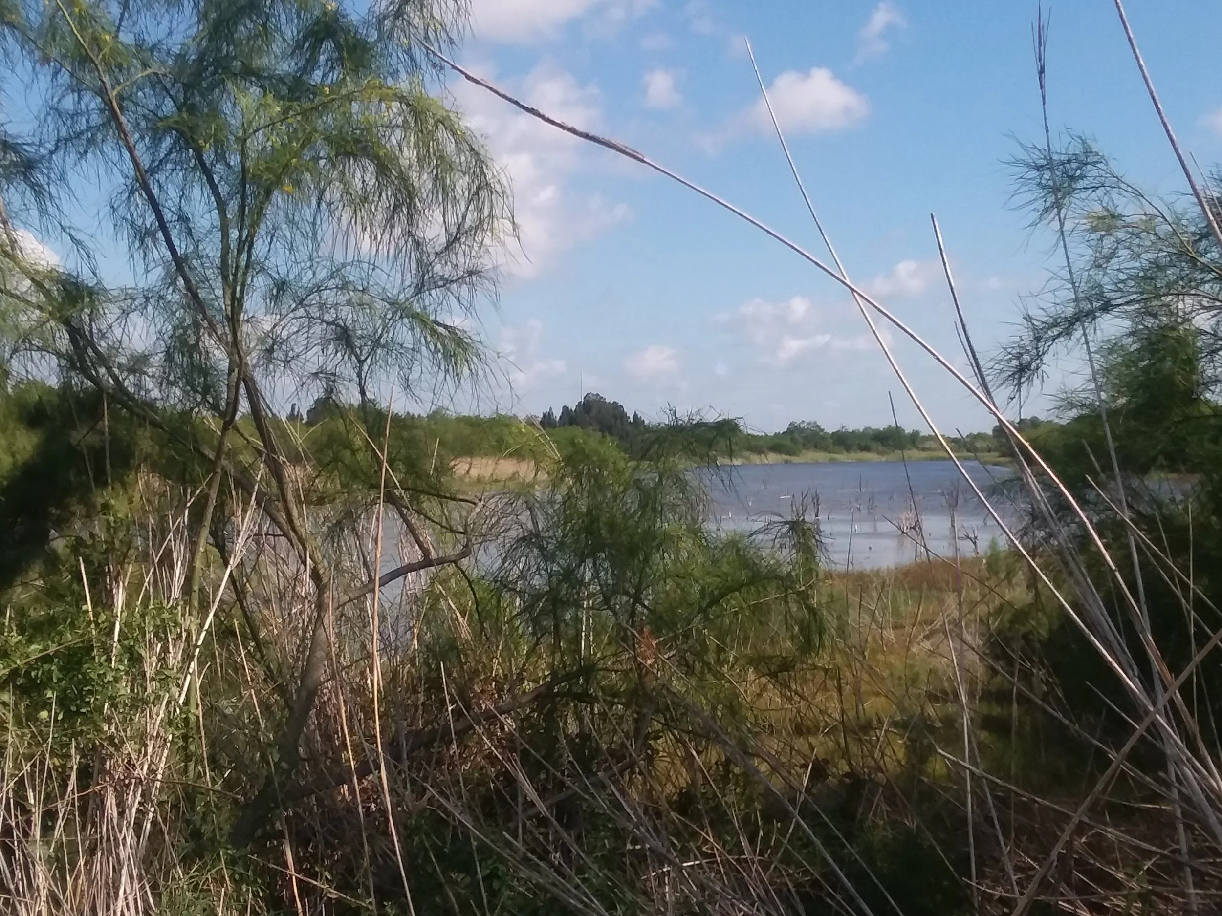 20180509_095422.jpg