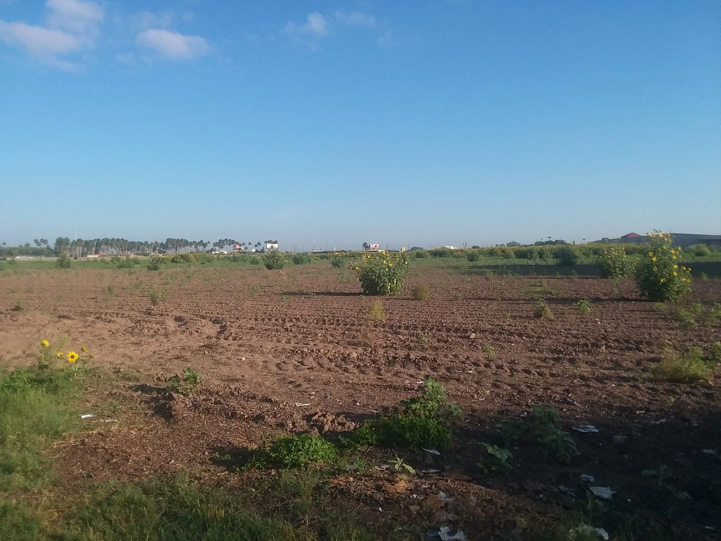 20180508_081359.jpg