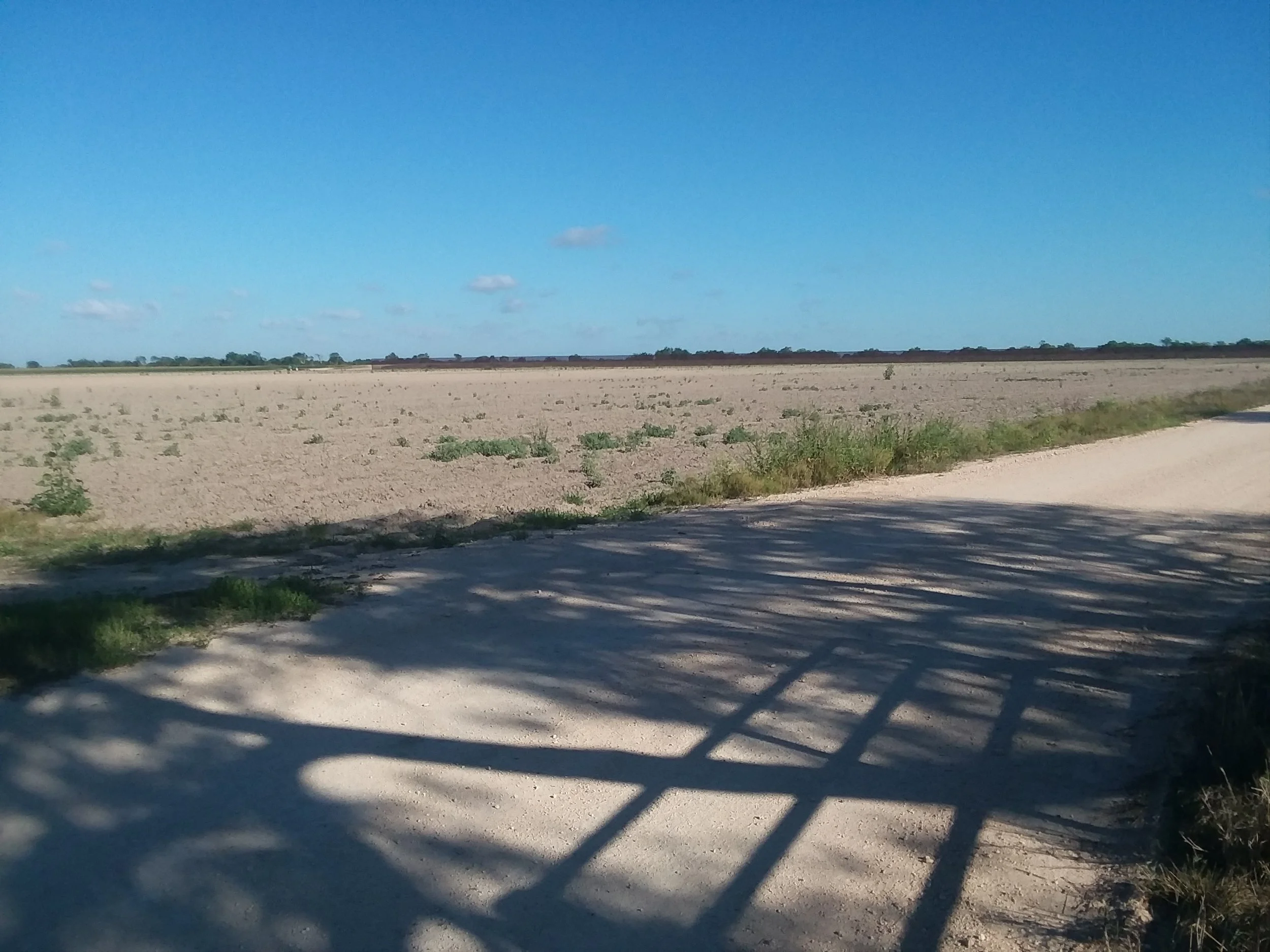 20180511_175523.jpg