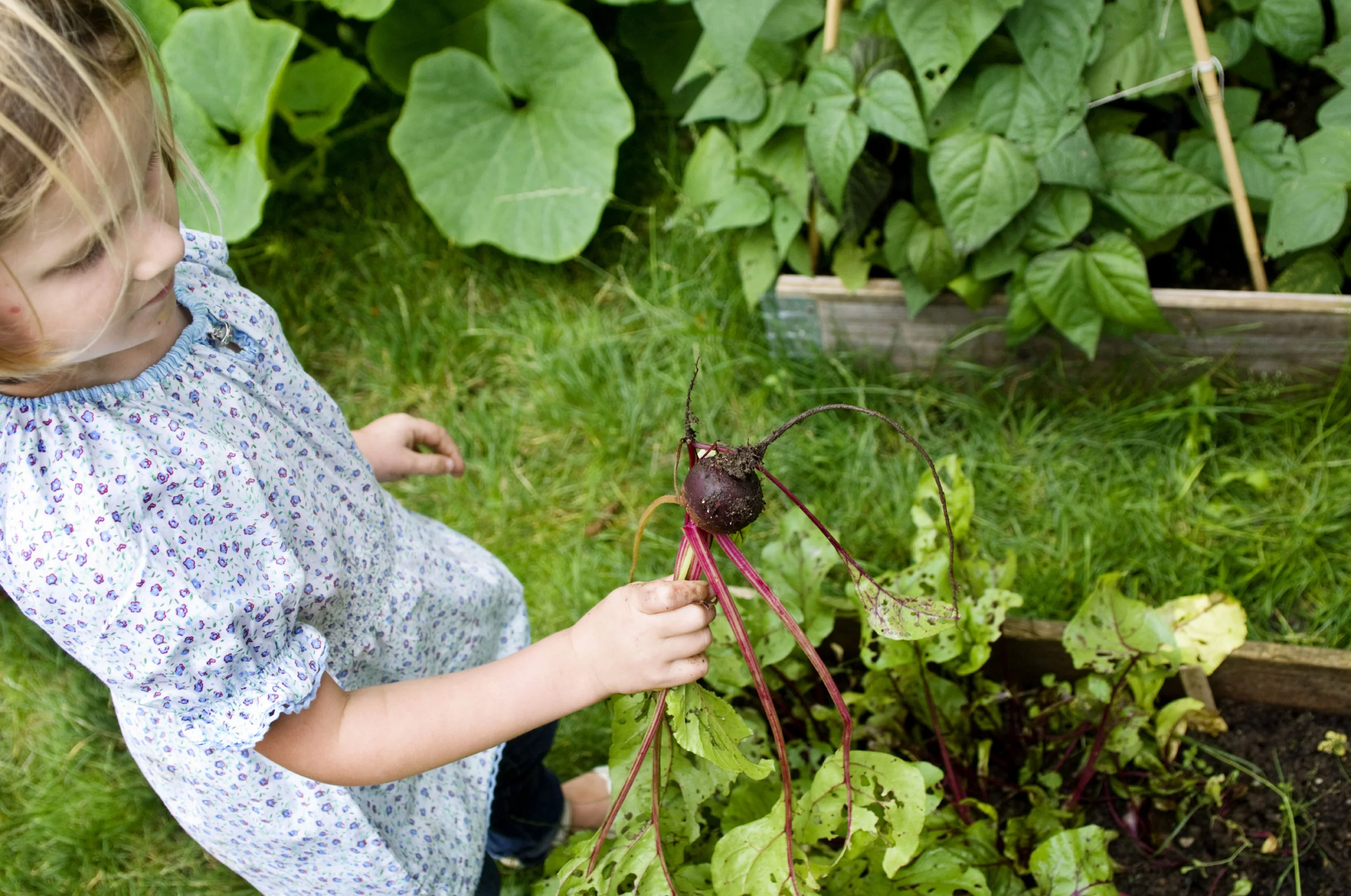 girl with beet (1).jpg