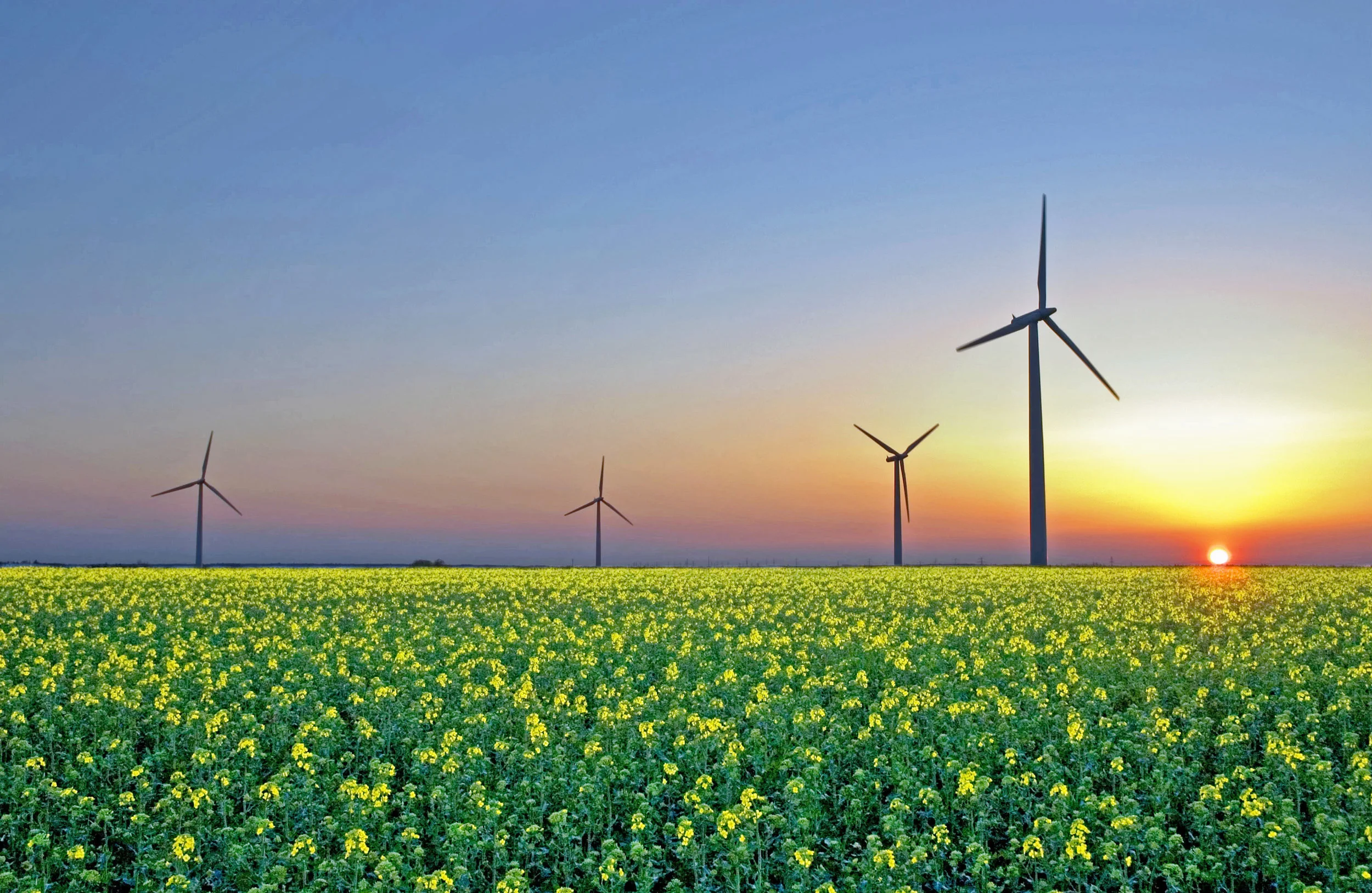 Alternative_Energies2.jpg
