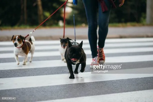 Photo by hedgehog94/iStock / Getty Images