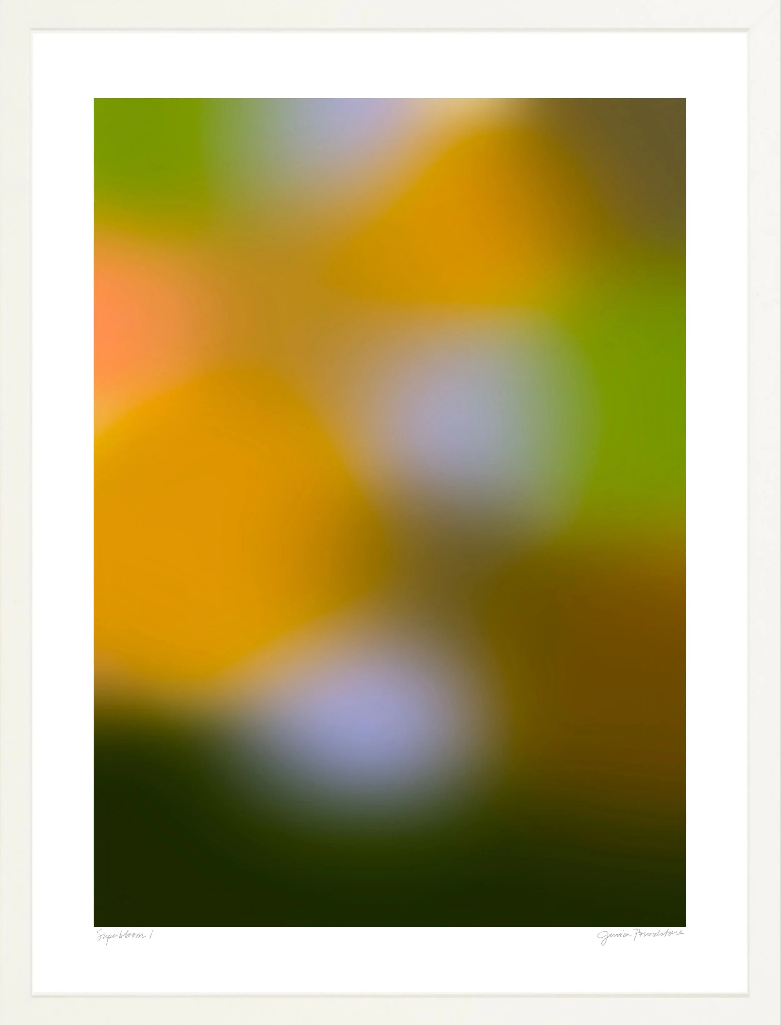 Superbloom 1 - White Frame - Jessica Poundstone.jpg