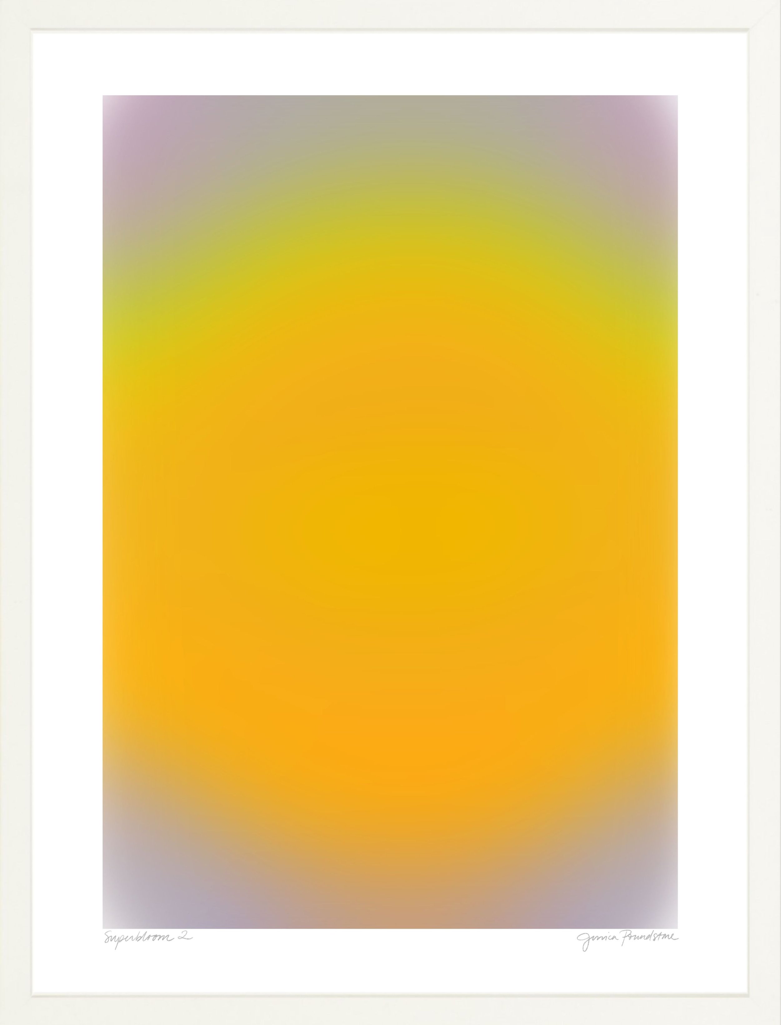 Superbloom 2 - White Frame - Jessica Poundstone.jpg