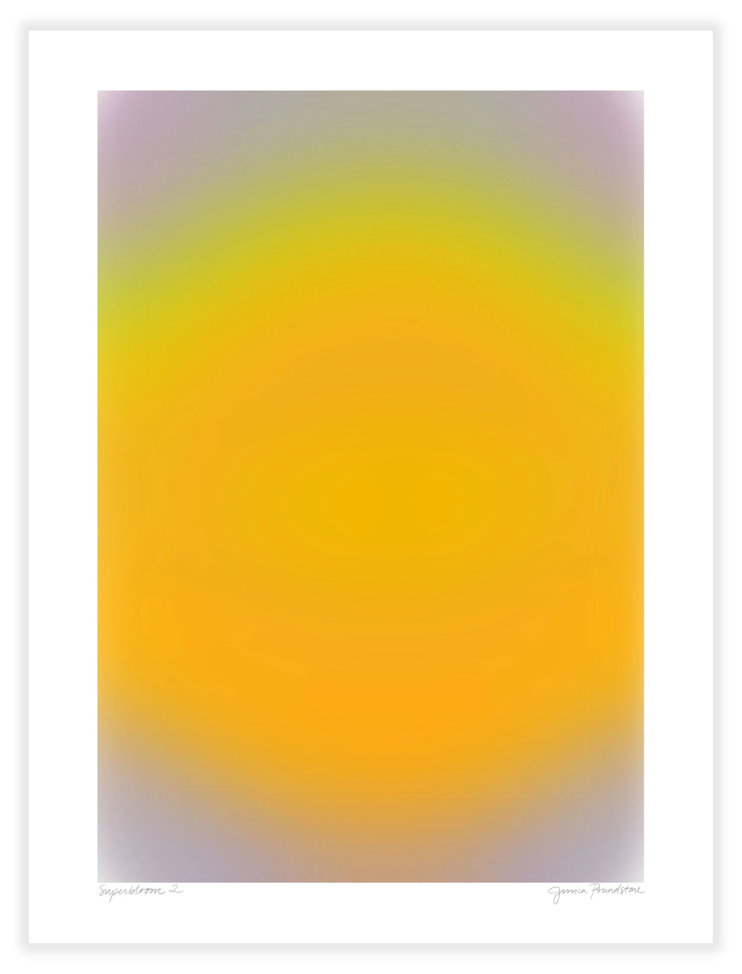 Superbloom 2 - Unframed - Jessica Poundstone.jpg