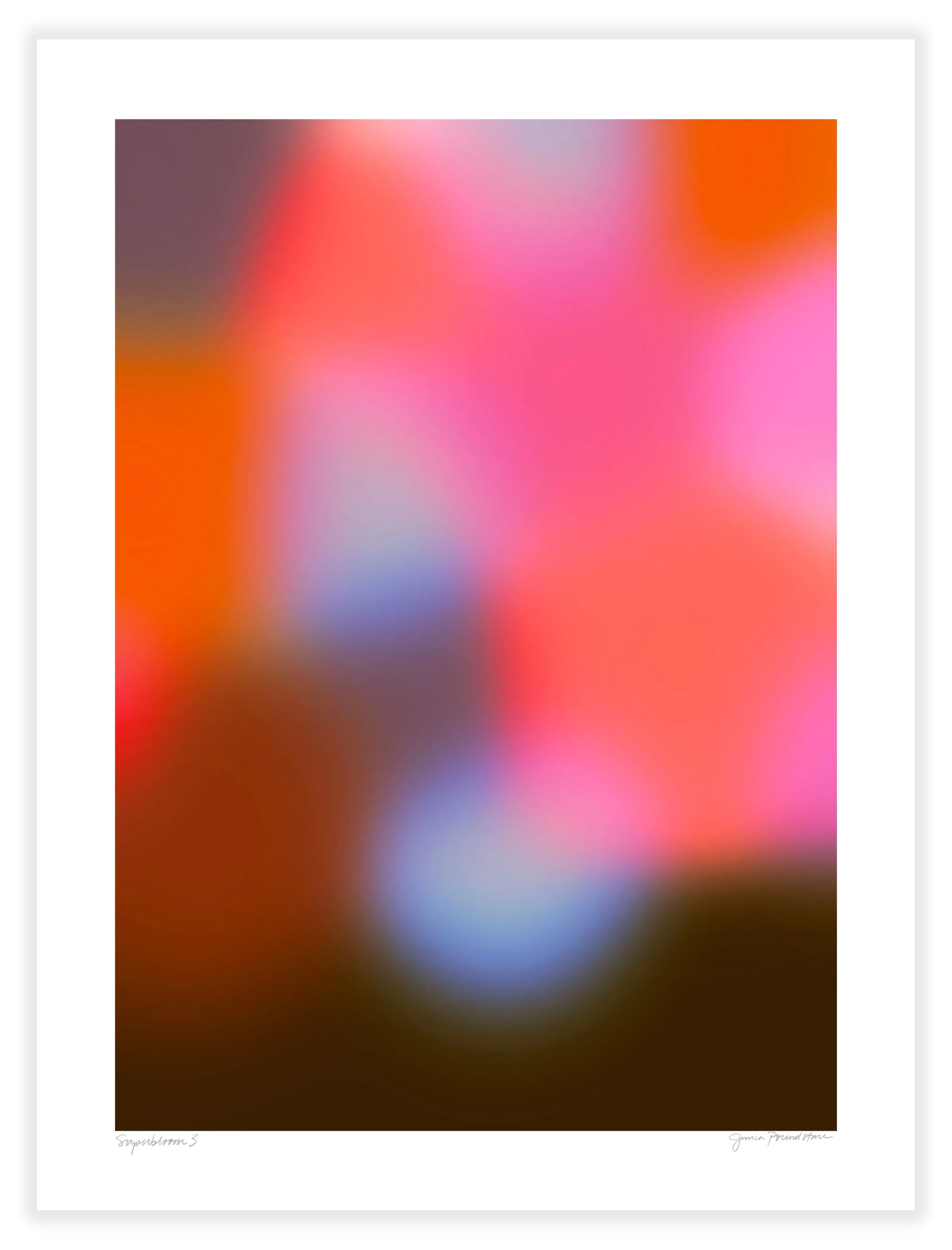 Superbloom 2 - Unframed - Jessica Poundstone.jpg
