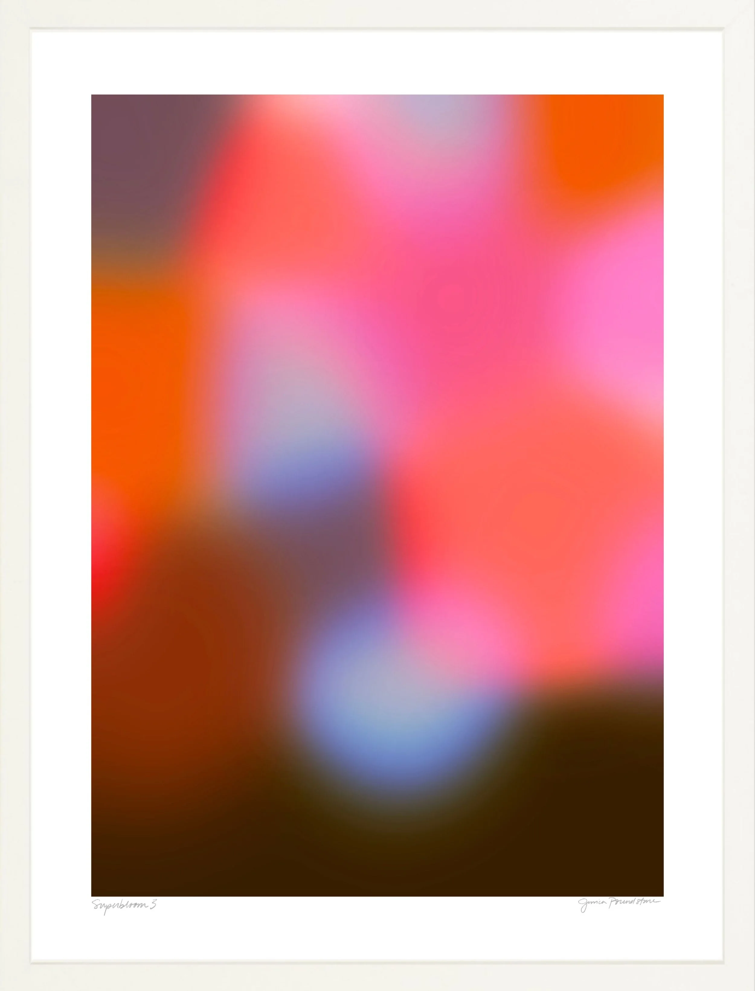 Superbloom 2 - White Frame - Jessica Poundstone.jpg
