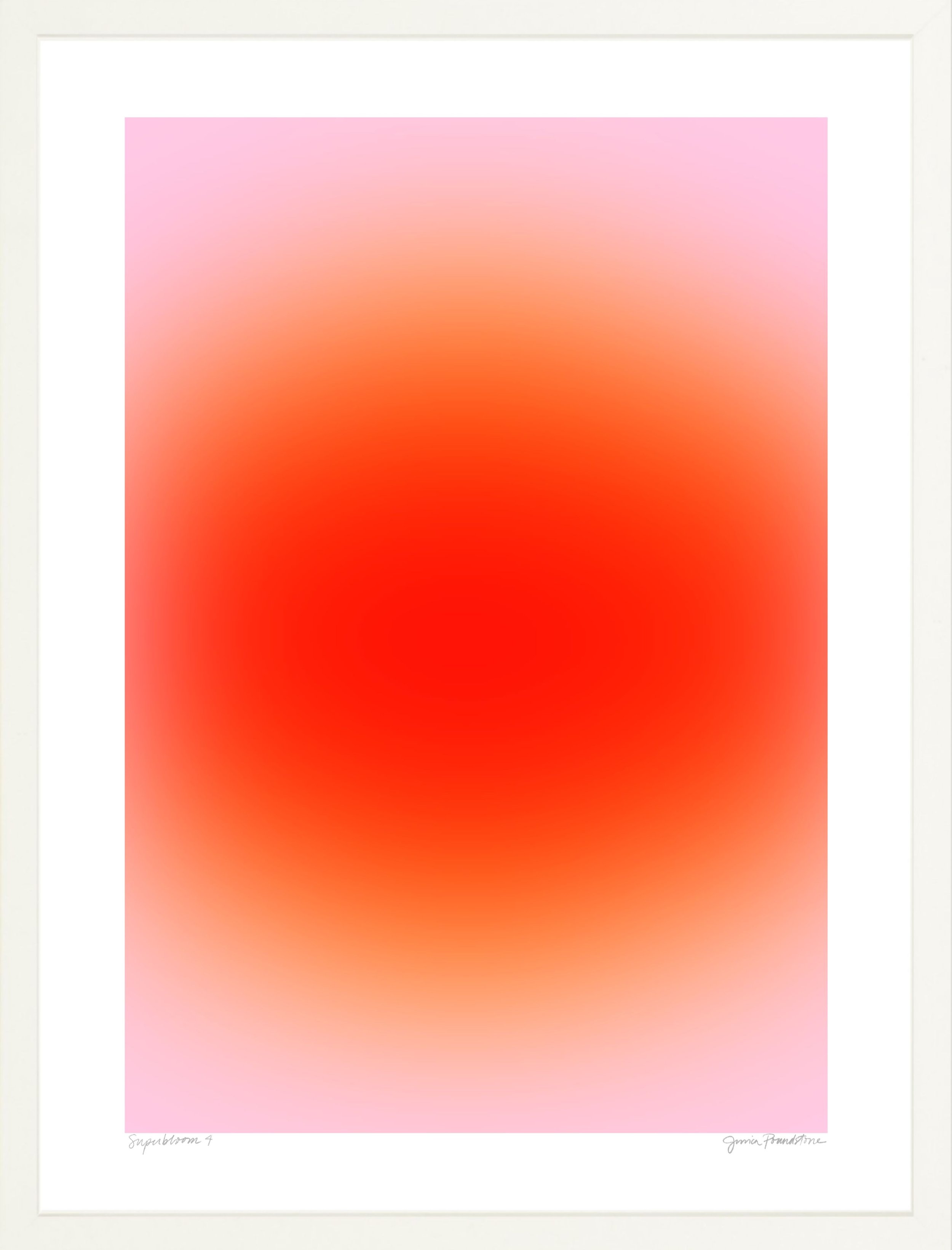 Superbloom 4 - White Frame - Jessica Poundstone.jpg