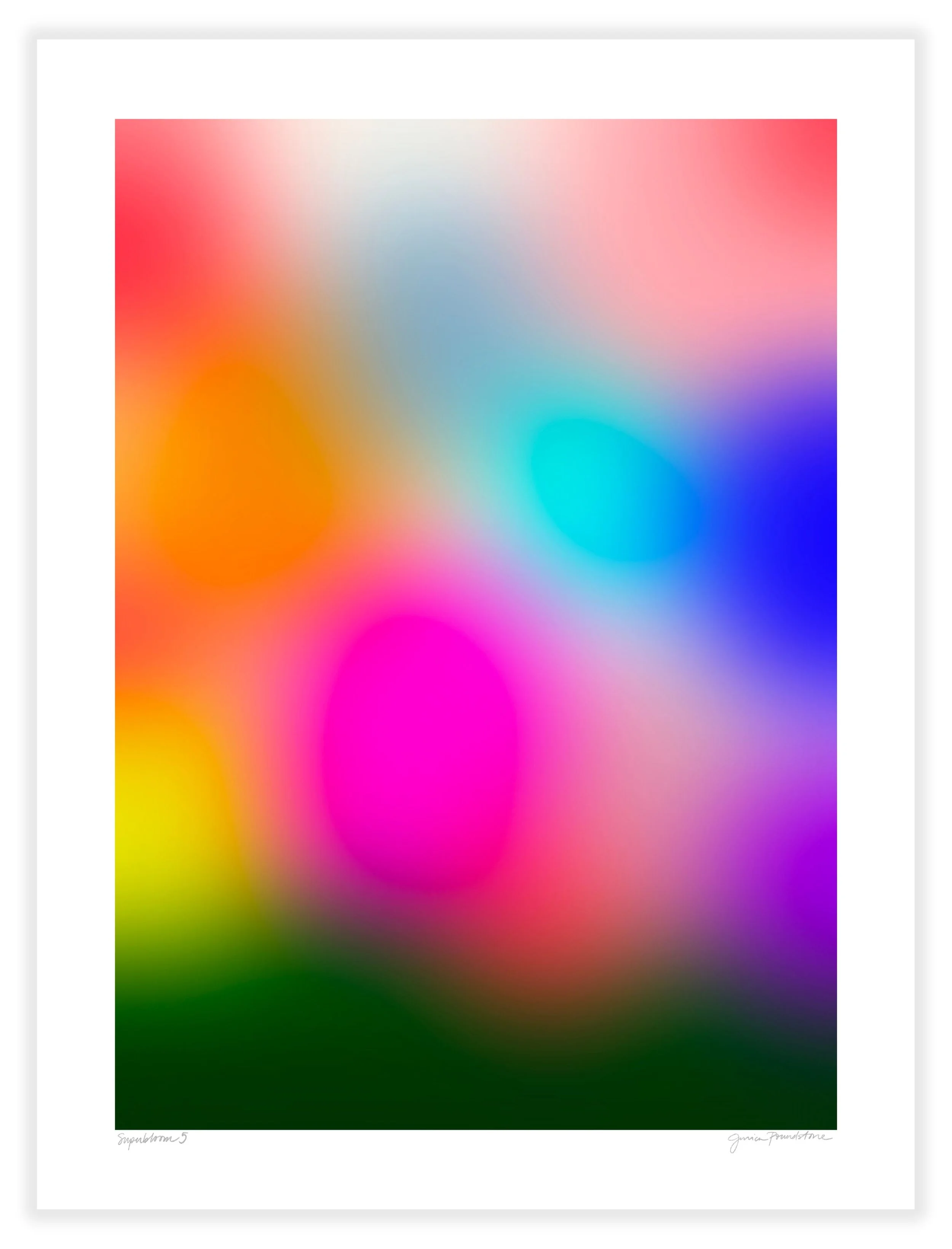 Superbloom 5 - Unframed - Jessica Poundstone.jpg