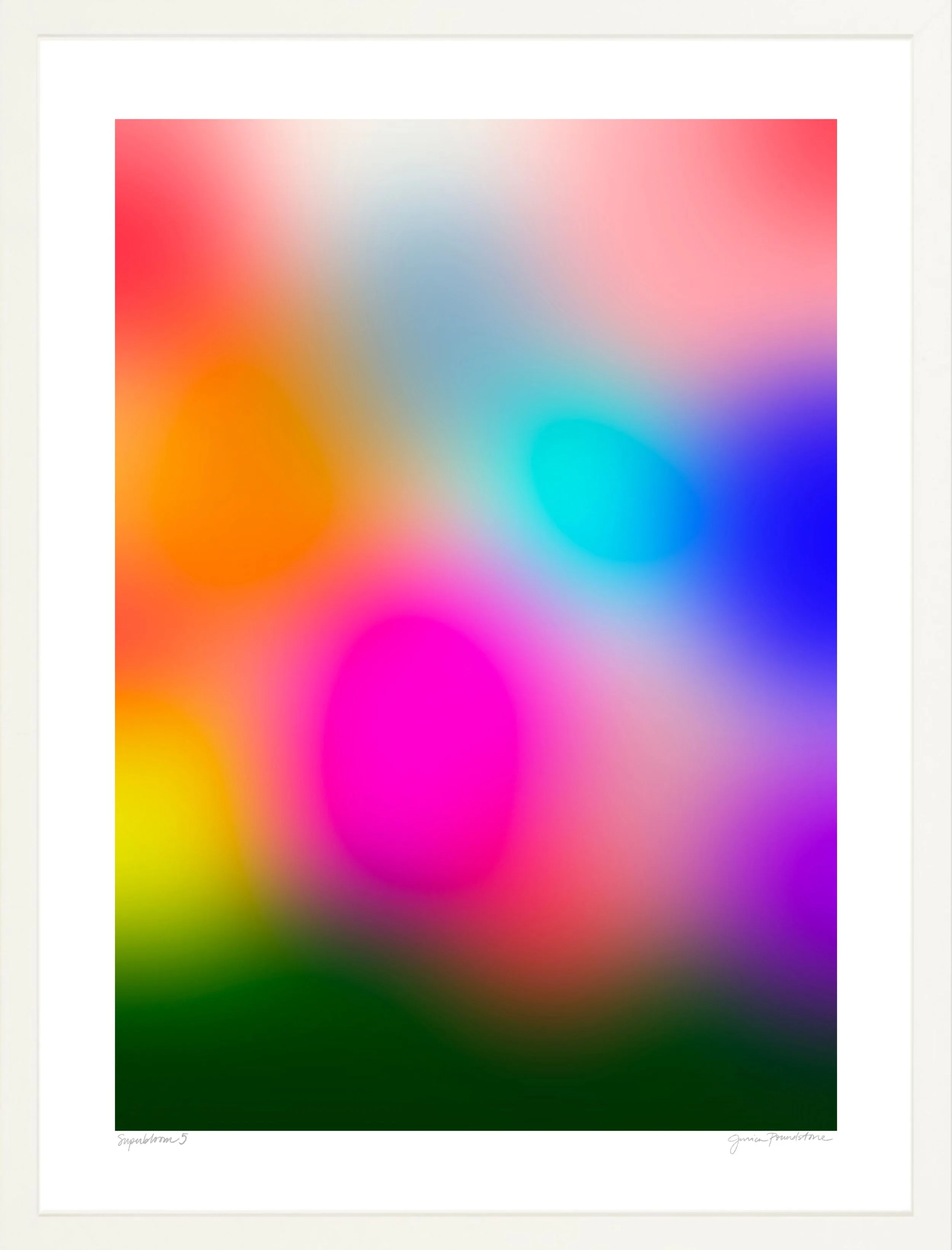 Superbloom 5 - White Frame - Jessica Poundstone.jpg