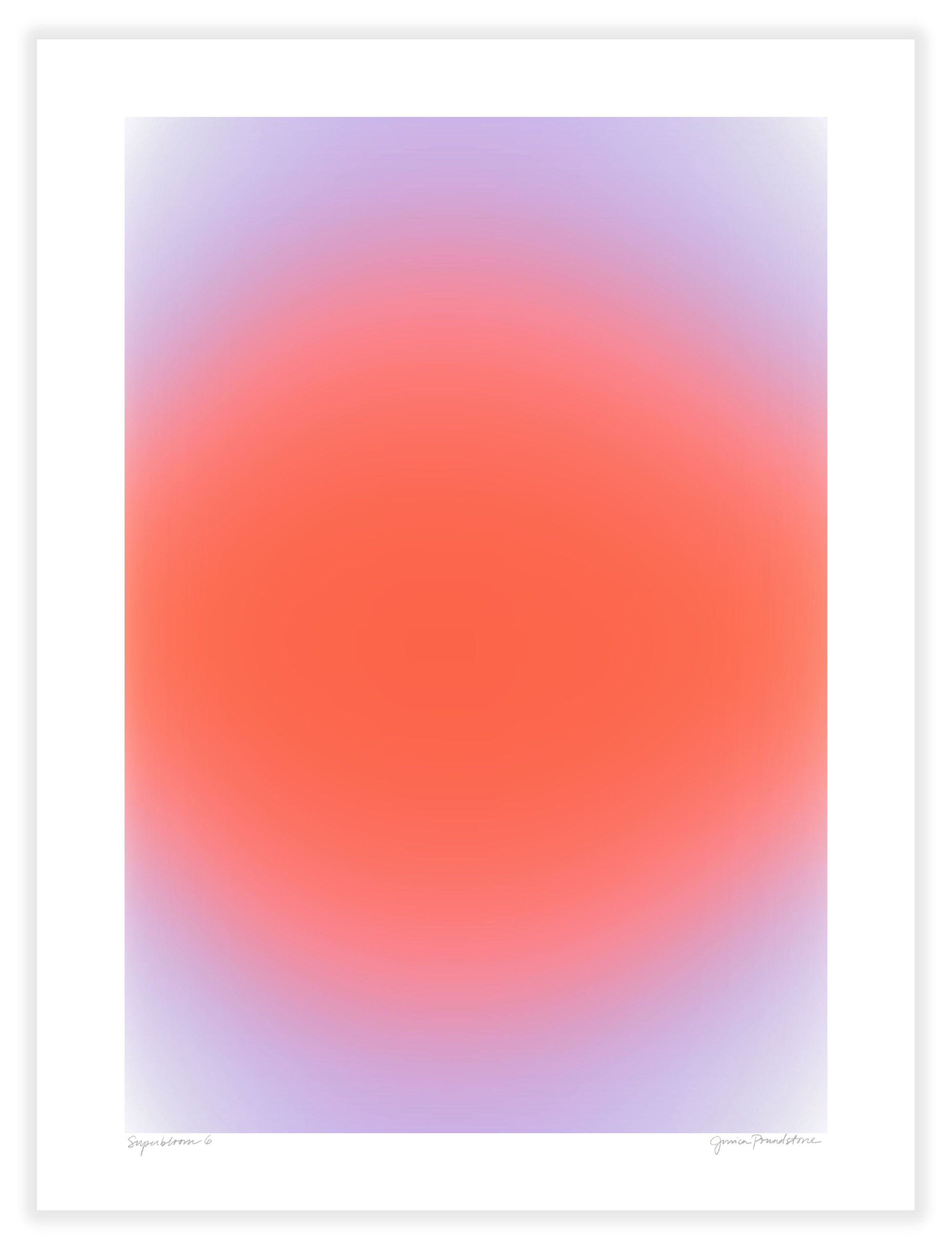 Superbloom 6 - Unframed - Jessica Poundstone.jpg