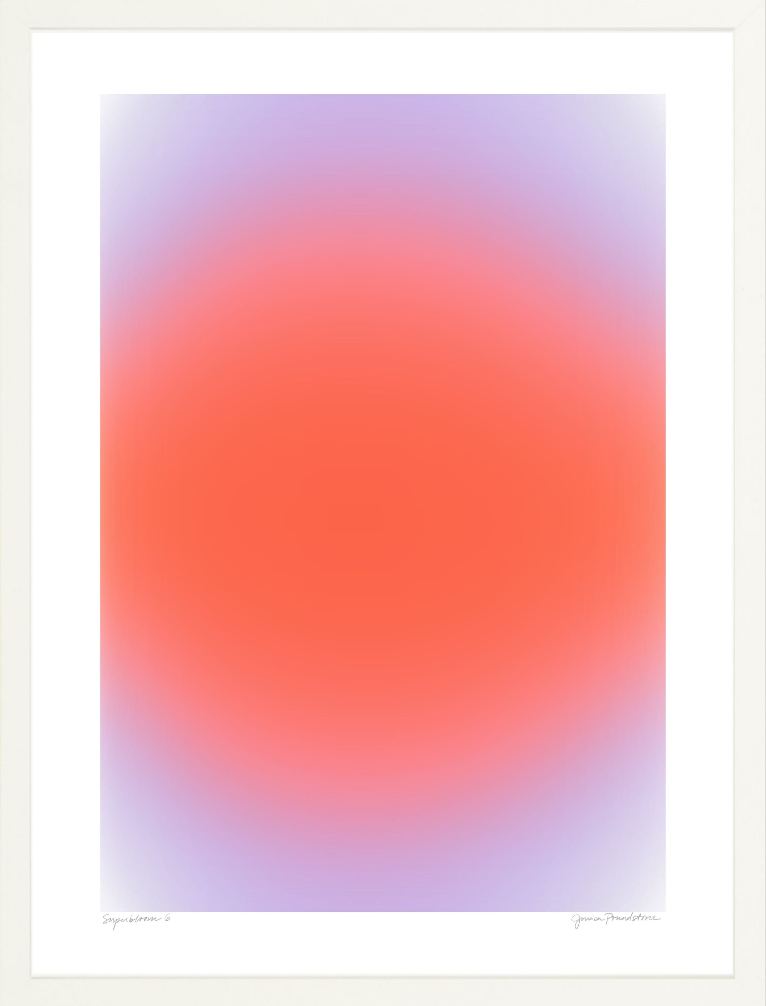 Superbloom 6 - White Frame - Jessica Poundstone.jpg
