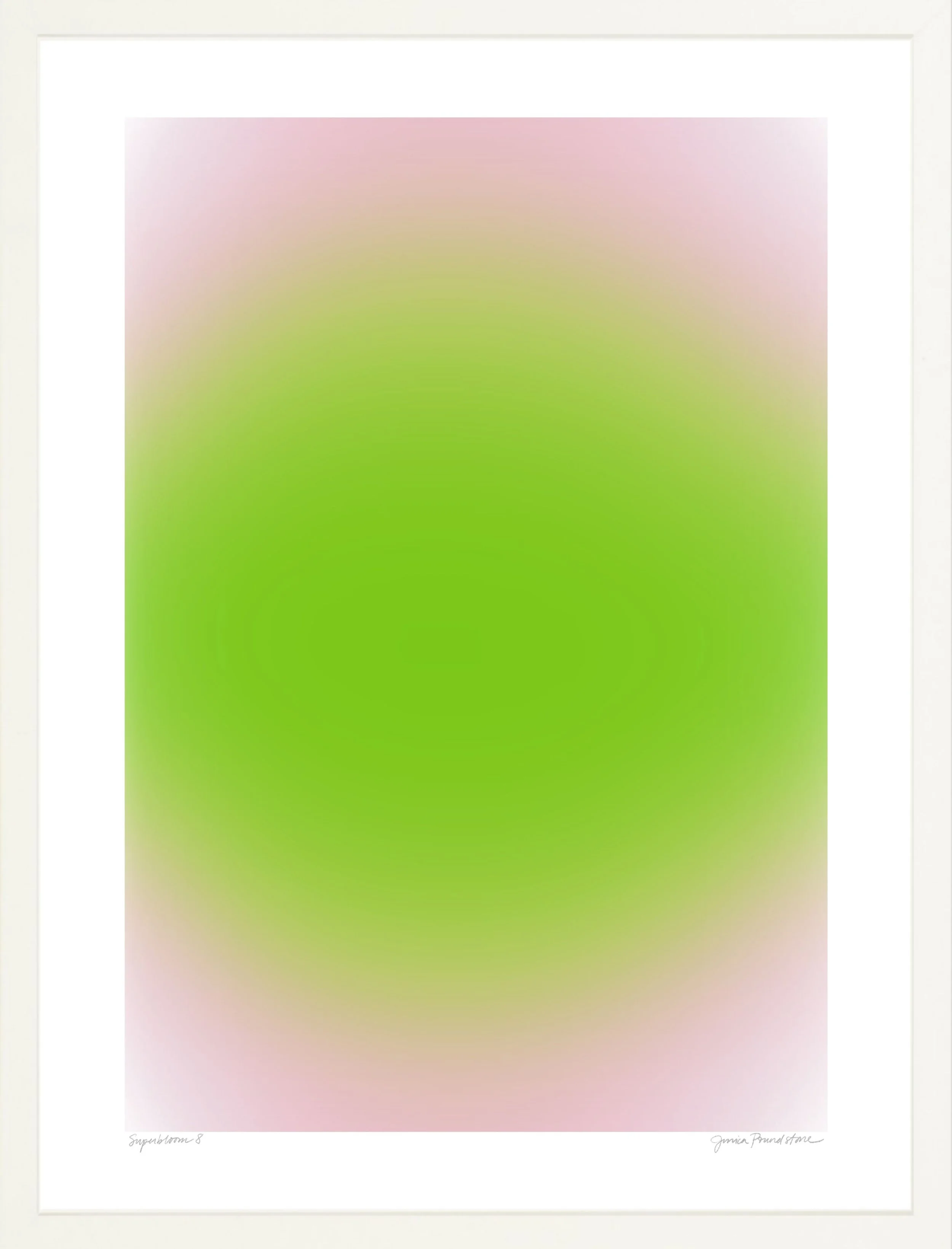 Superbloom 8 - White Frame - Jessica Poundstone.jpg